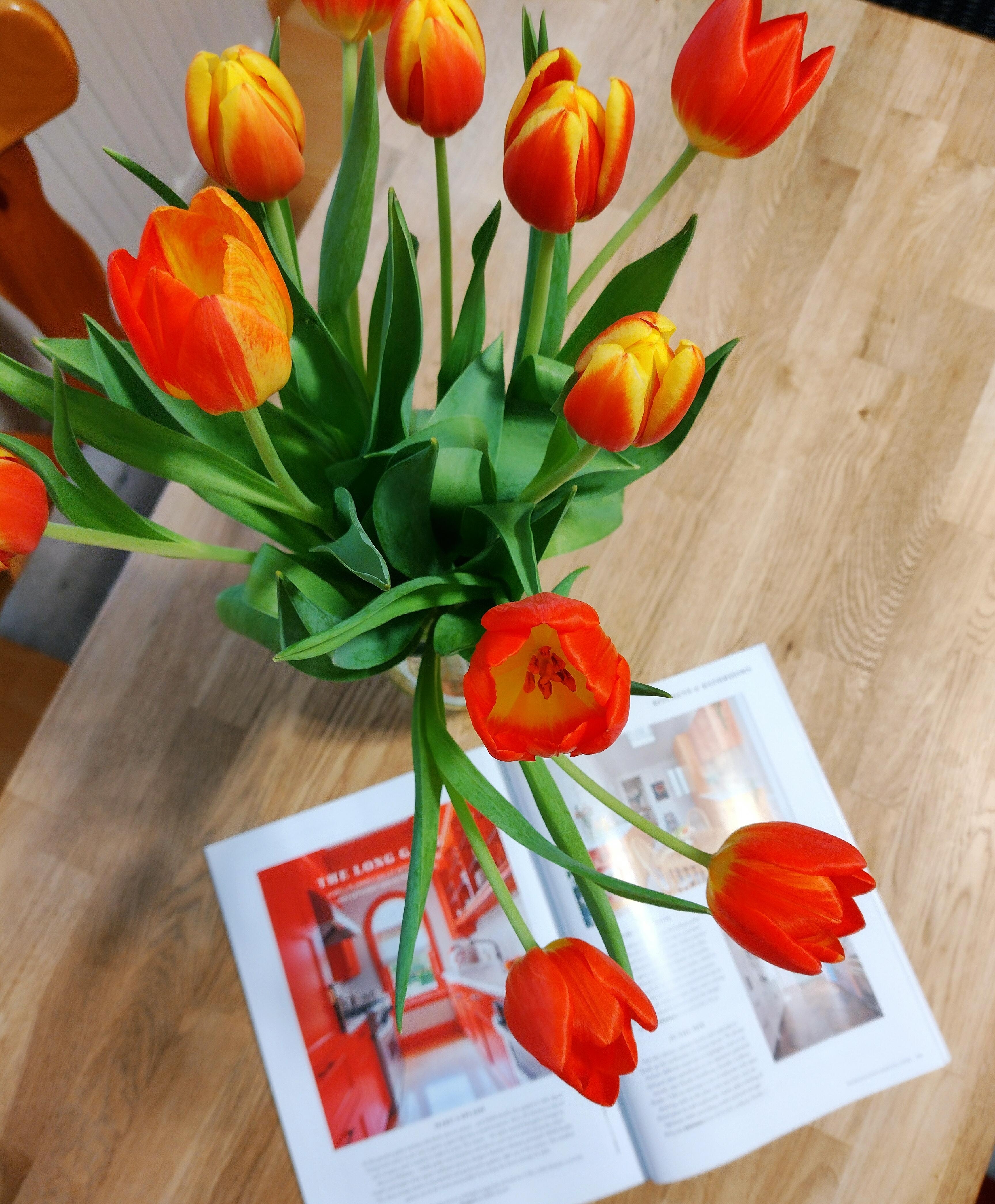❤️🧡💛 #tulpen #tulpenliebe #frischeblumen #blumenliebe #blumen