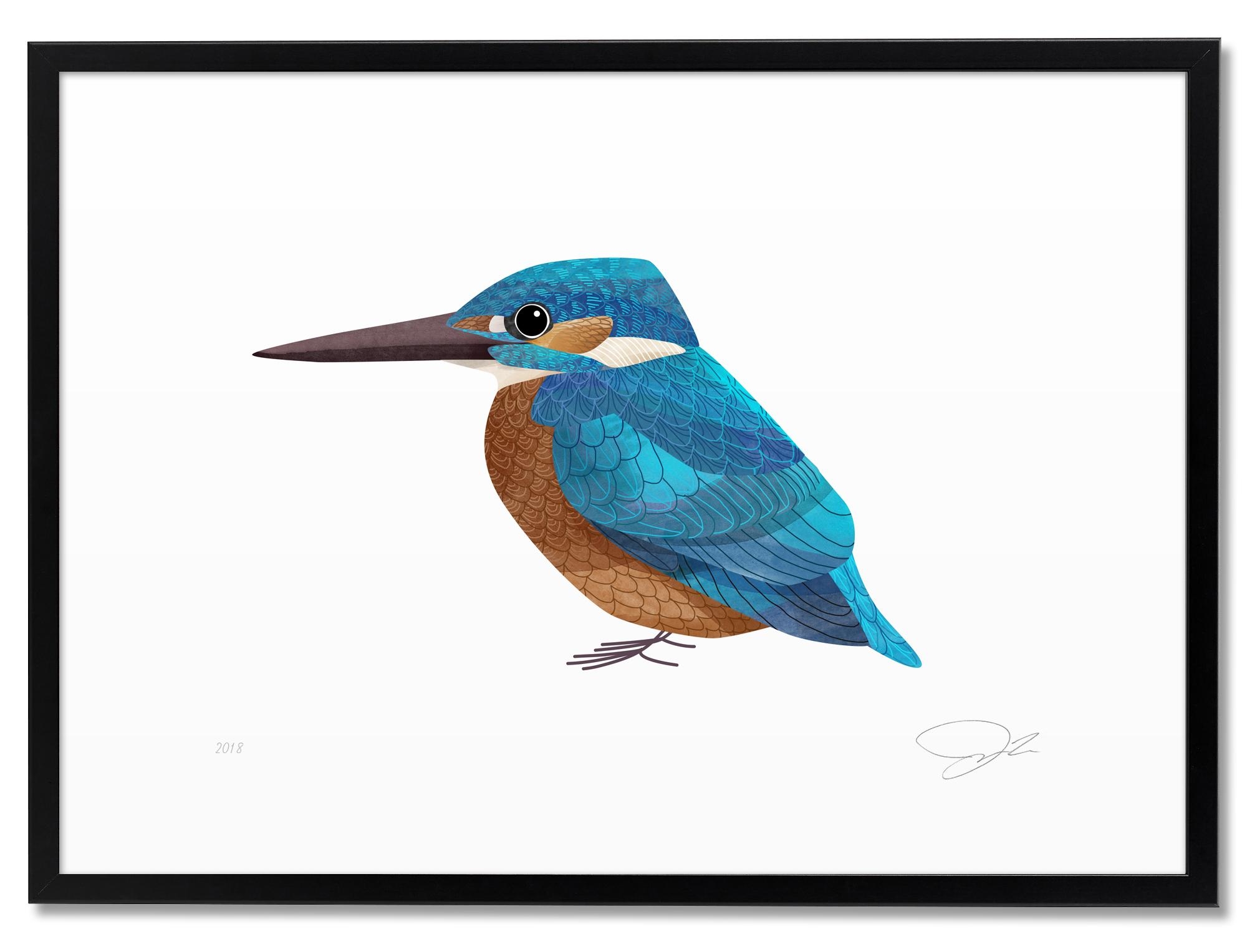 A king fisher by me. One of my favourite birds. You can see them in the ponds near home. #illustration #prints #drucke