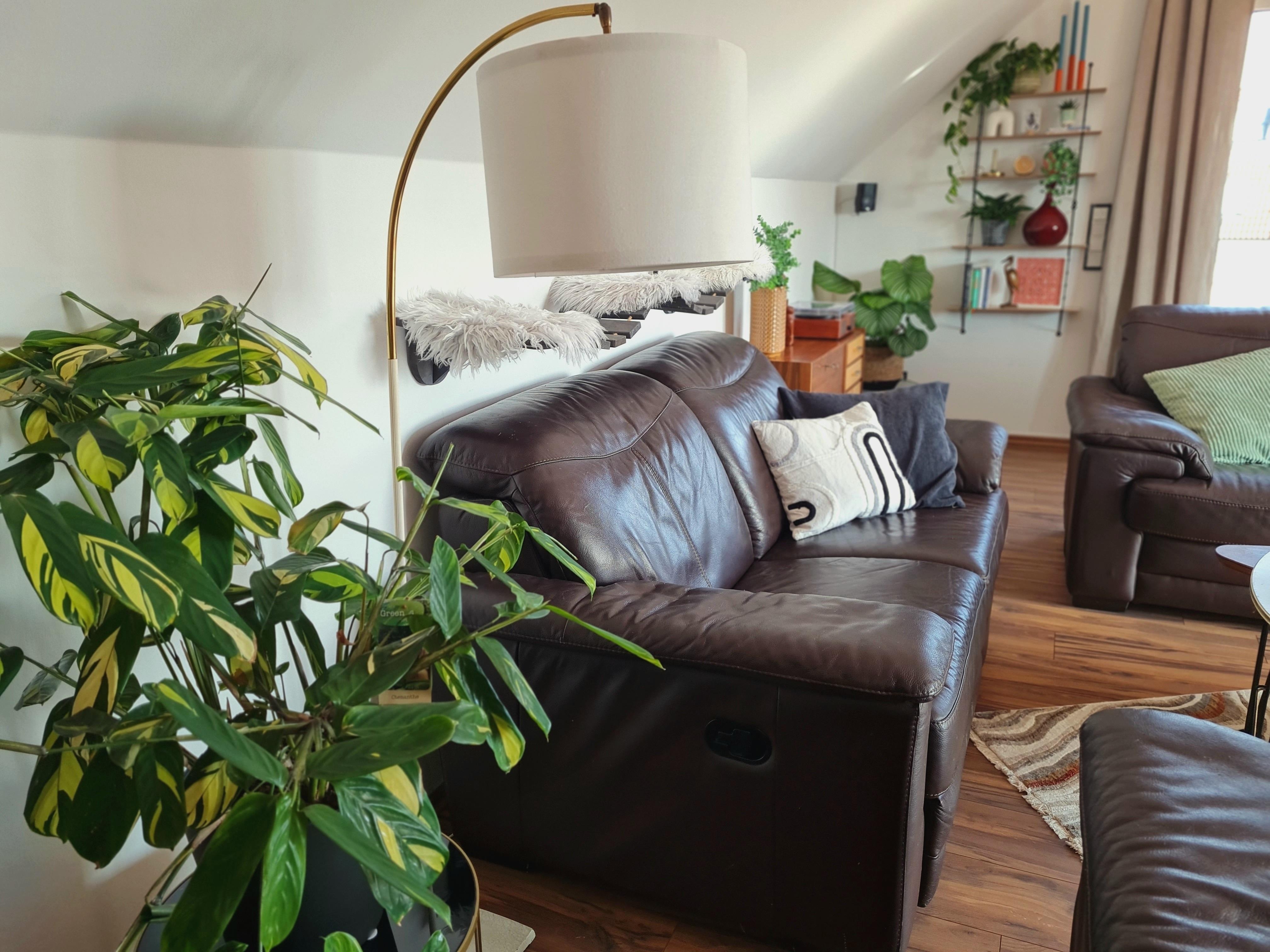 altes wuchtiges Sofa aber soooo bequem #couch #Pflanzen #Lampe #couchstyle #wohnzimmer