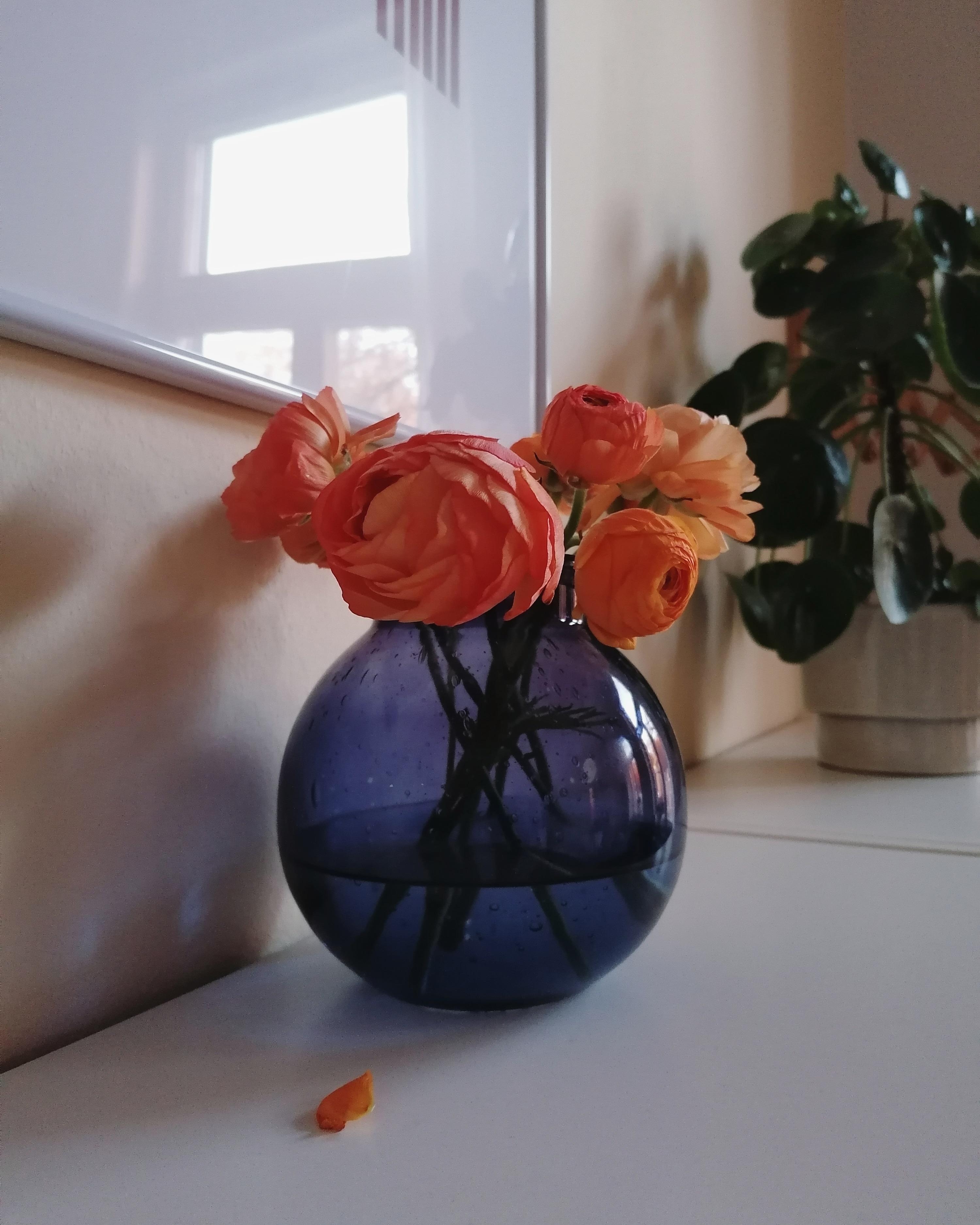 Blumenliebe

#blumen #vase #wohnzimmer #freshflowerfriday #altbauliebe 