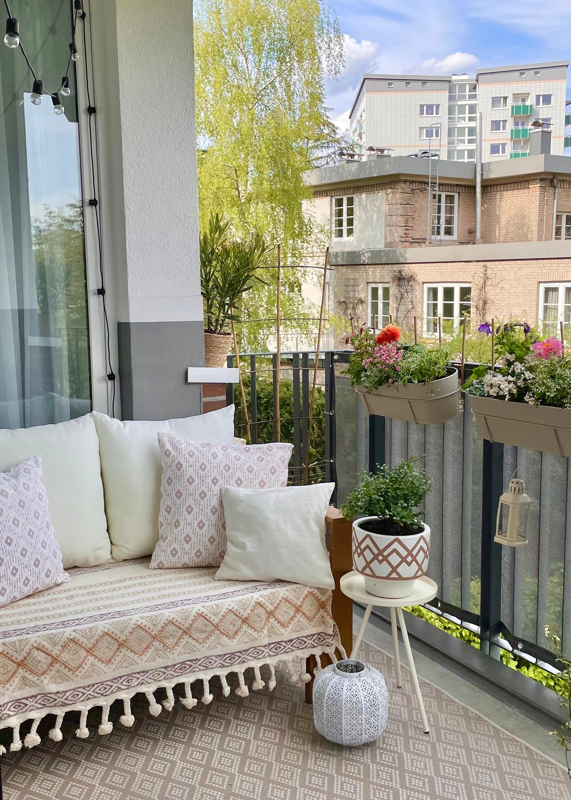 Die Sonne wird gebeten auf den Balkon zu kommen. Die Sonne bitte! 😂🌞 #balkonideen #balkon #balkonpflanzen #balkonmöbel