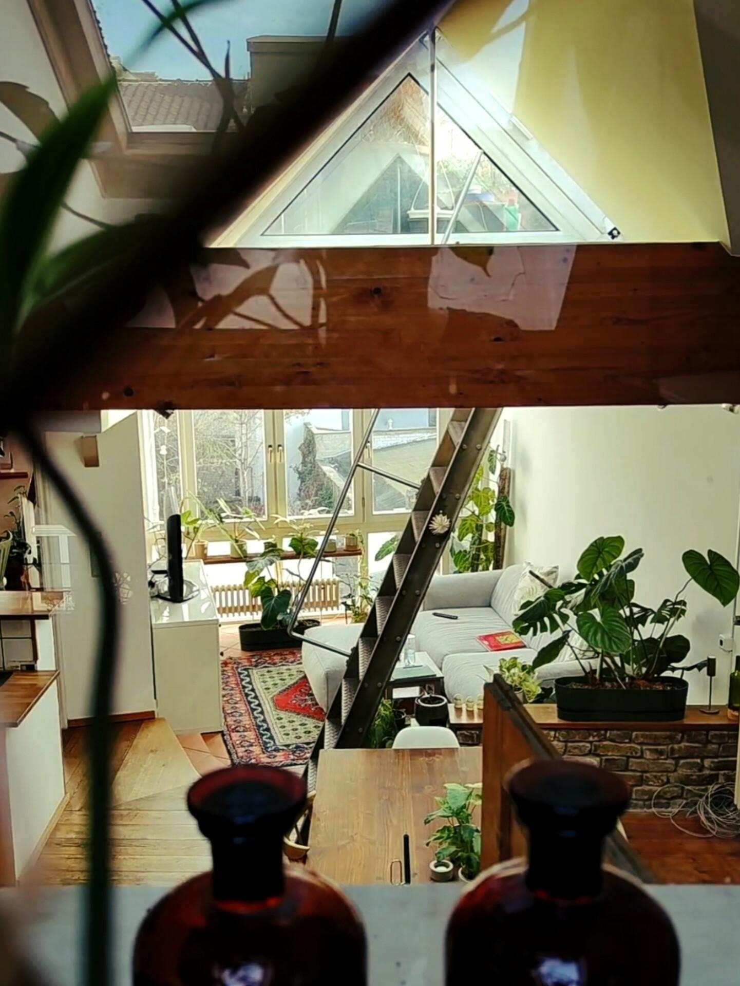 different perspective #wohnzimmer #urbanjungle #loft