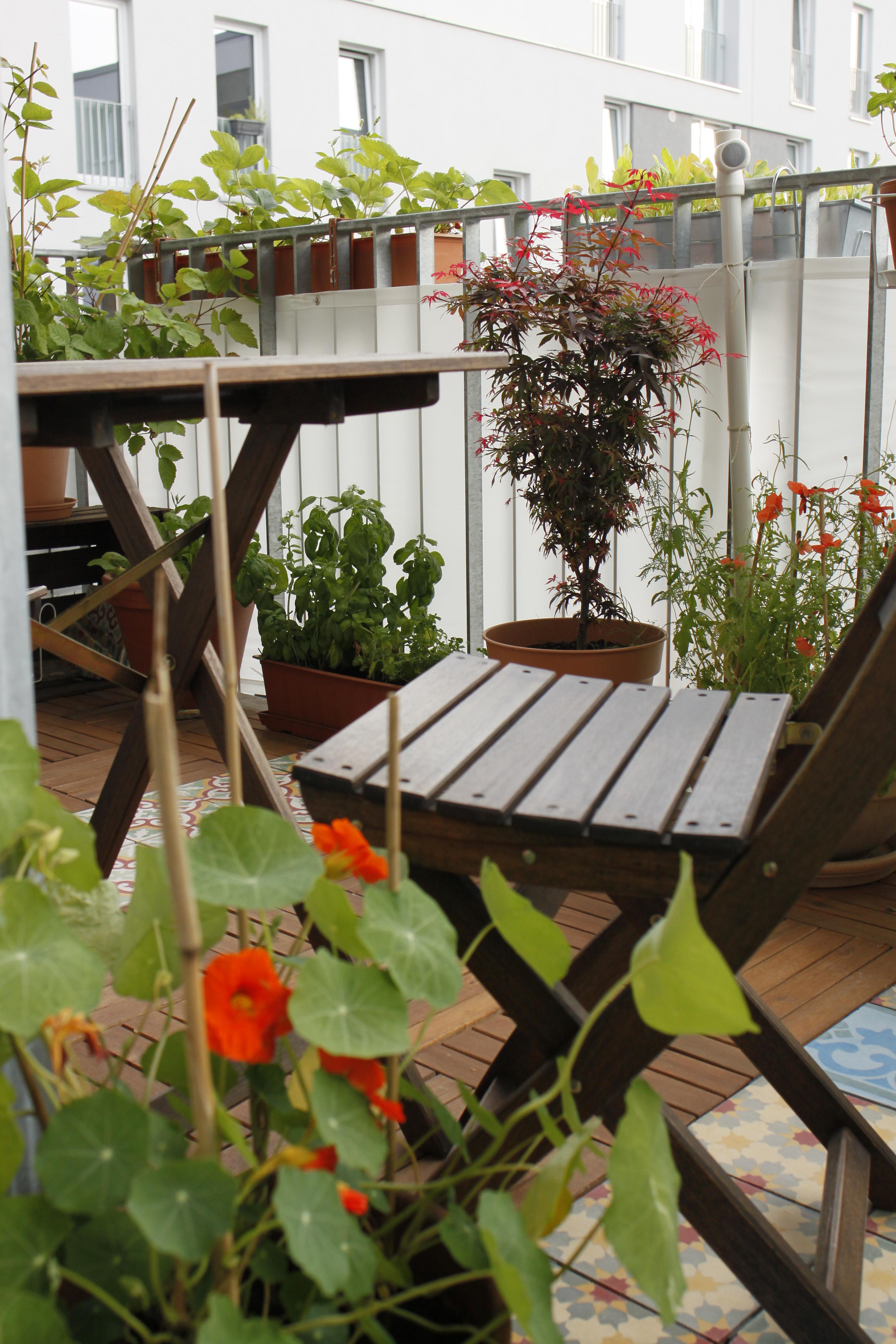 Ein ganz kleiner #urbanjungle auf unserem Balkon #sitzeckegarten #terrassenpflanze