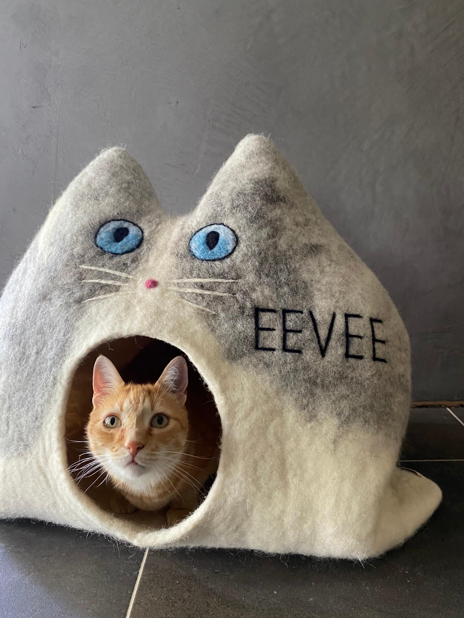 Ein Katzenhaus mit dem Namen deines Lieblings 🐱
#katze #schönerwohnen #katzenhöhle