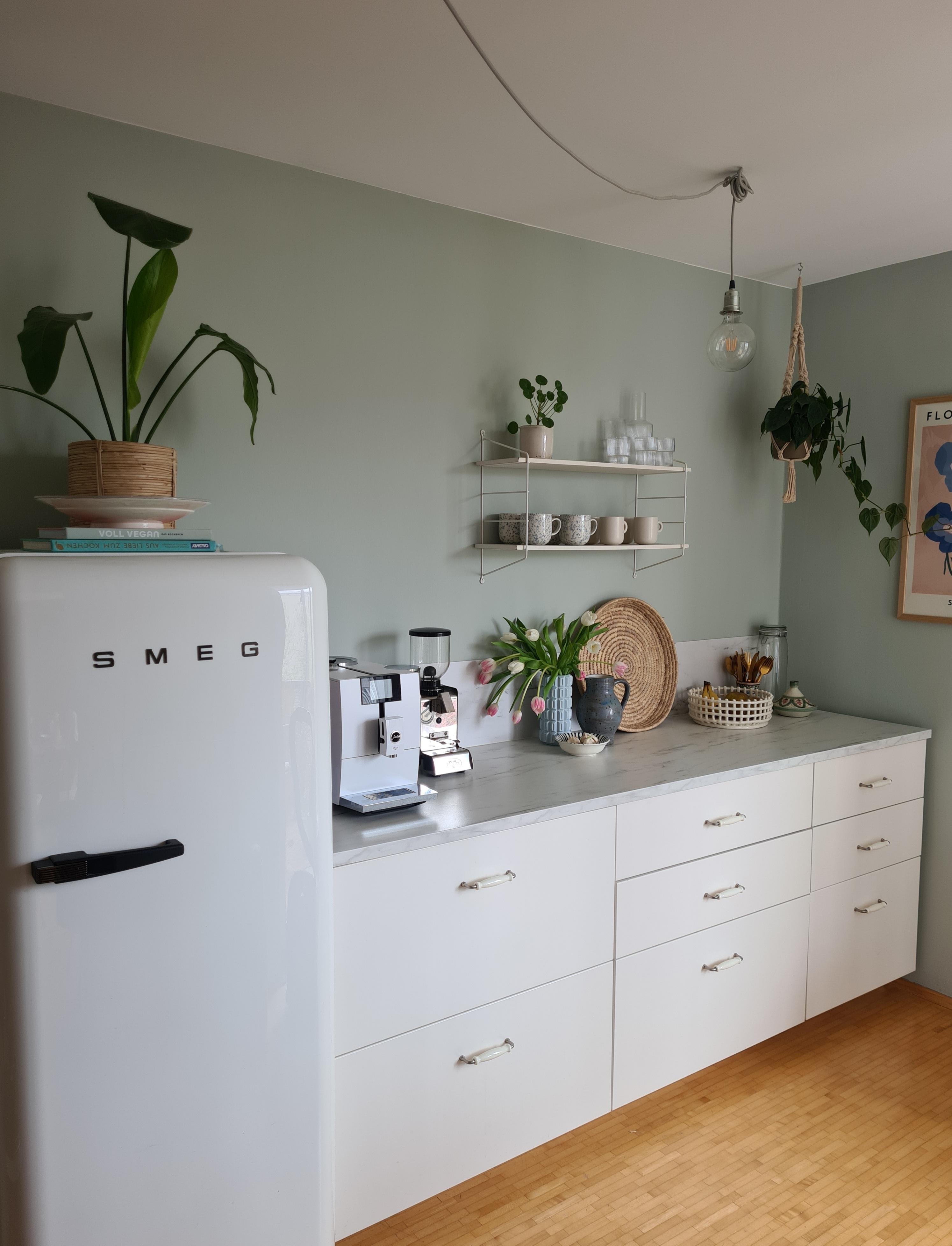 Ein paar Tulpen für die Küche 🌷
#küche #wandfarbe #kühlschrank 