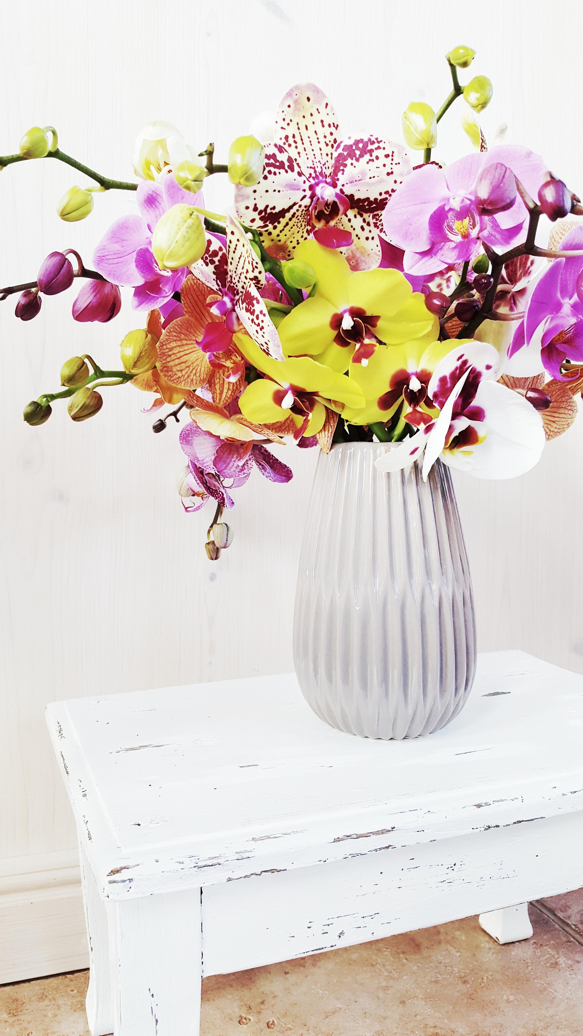 Ein wilder #farbenmix ist mein wunderschöner Orchideenstrauß, nicht wahr? #orchidee #blumen 