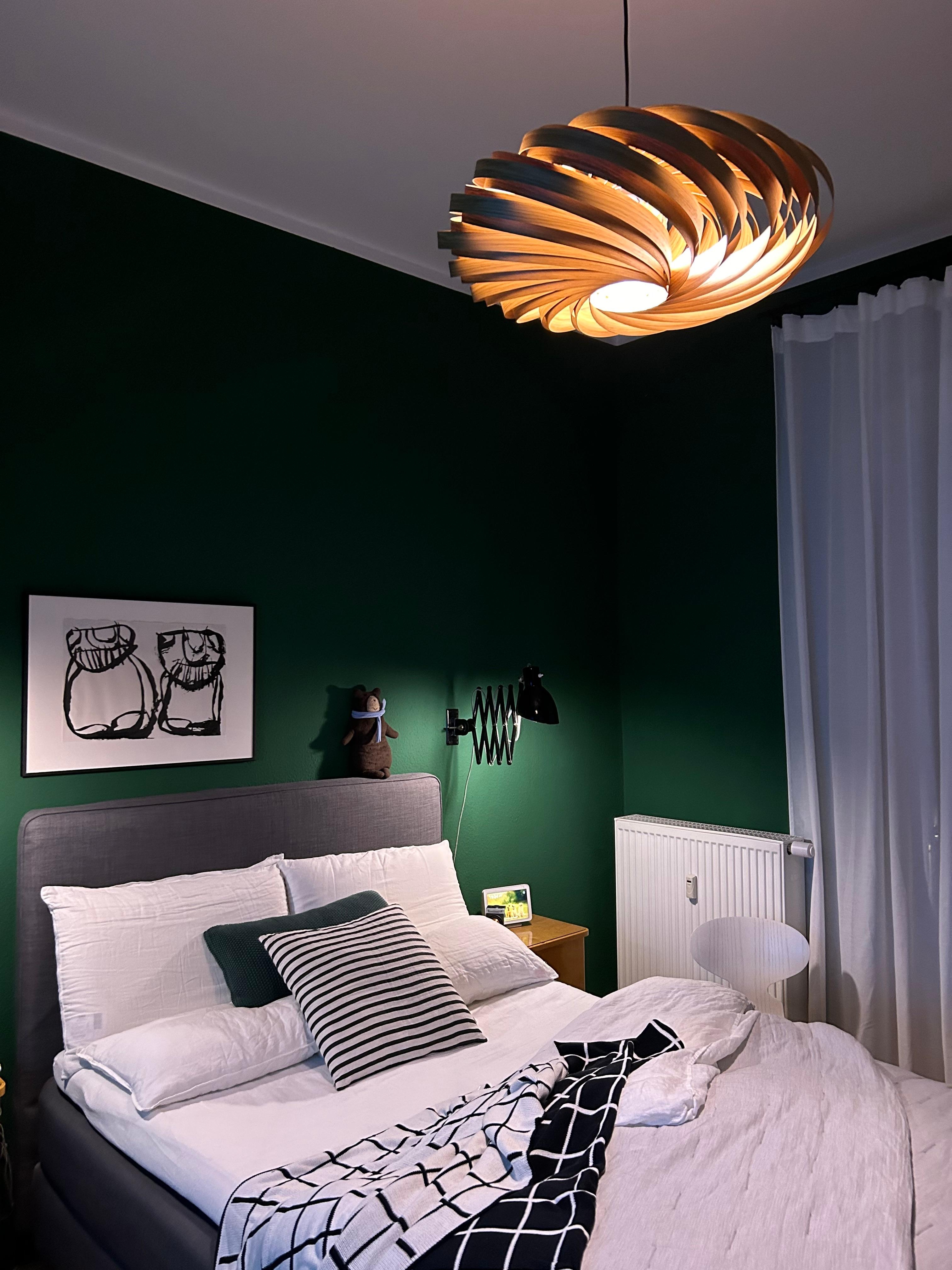 Eine neue Lampe. 
#schlafzimmer #wandfarbe #berggrün     #gofurnit 