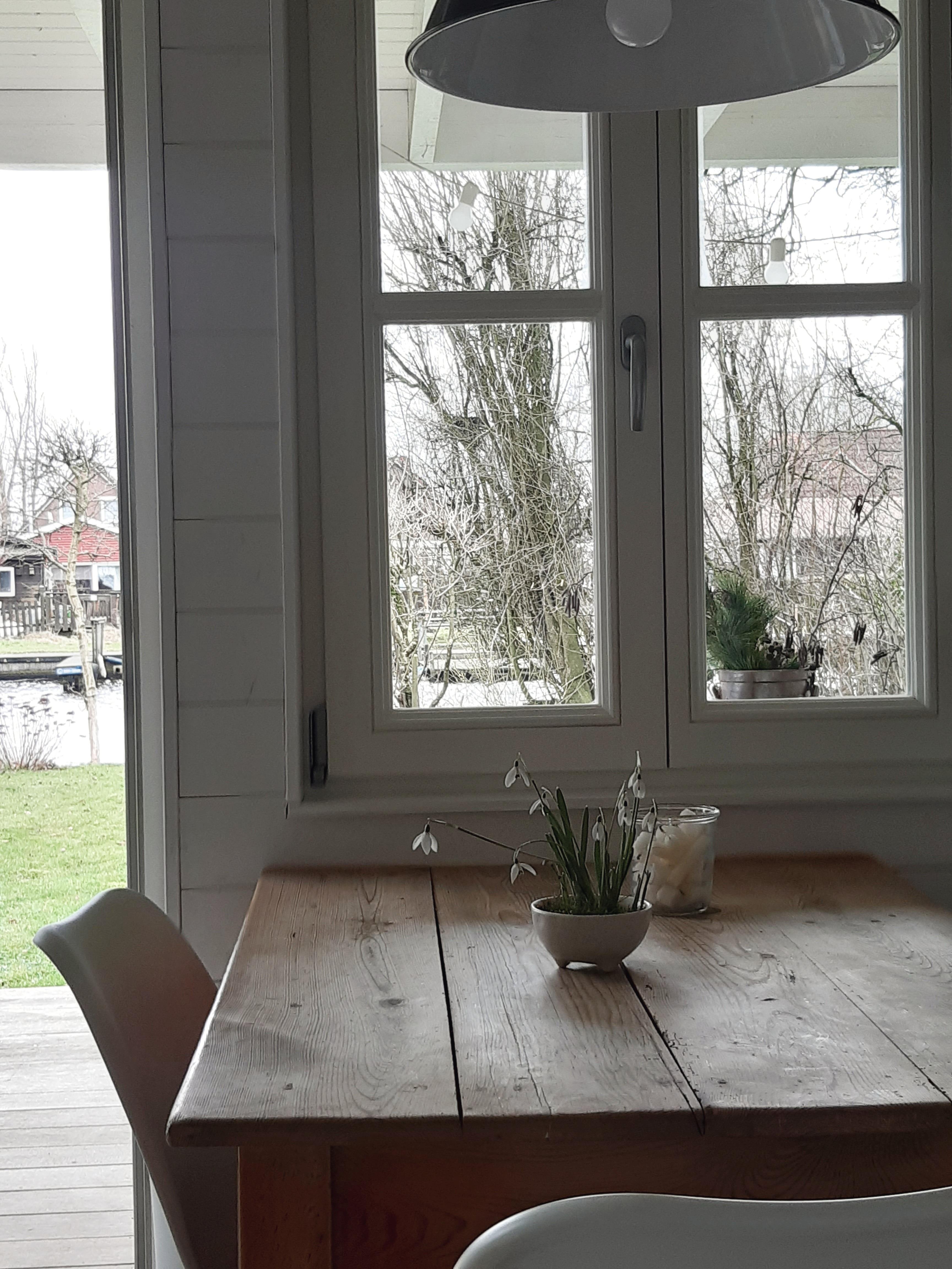 Erste Schneeglöckchen rein geholt...blasse Zeit...aber der Blick aufs Wasser ist immer schön #couchstyle #Küche #kleineküche #blumendeko #interior #skandinavisch