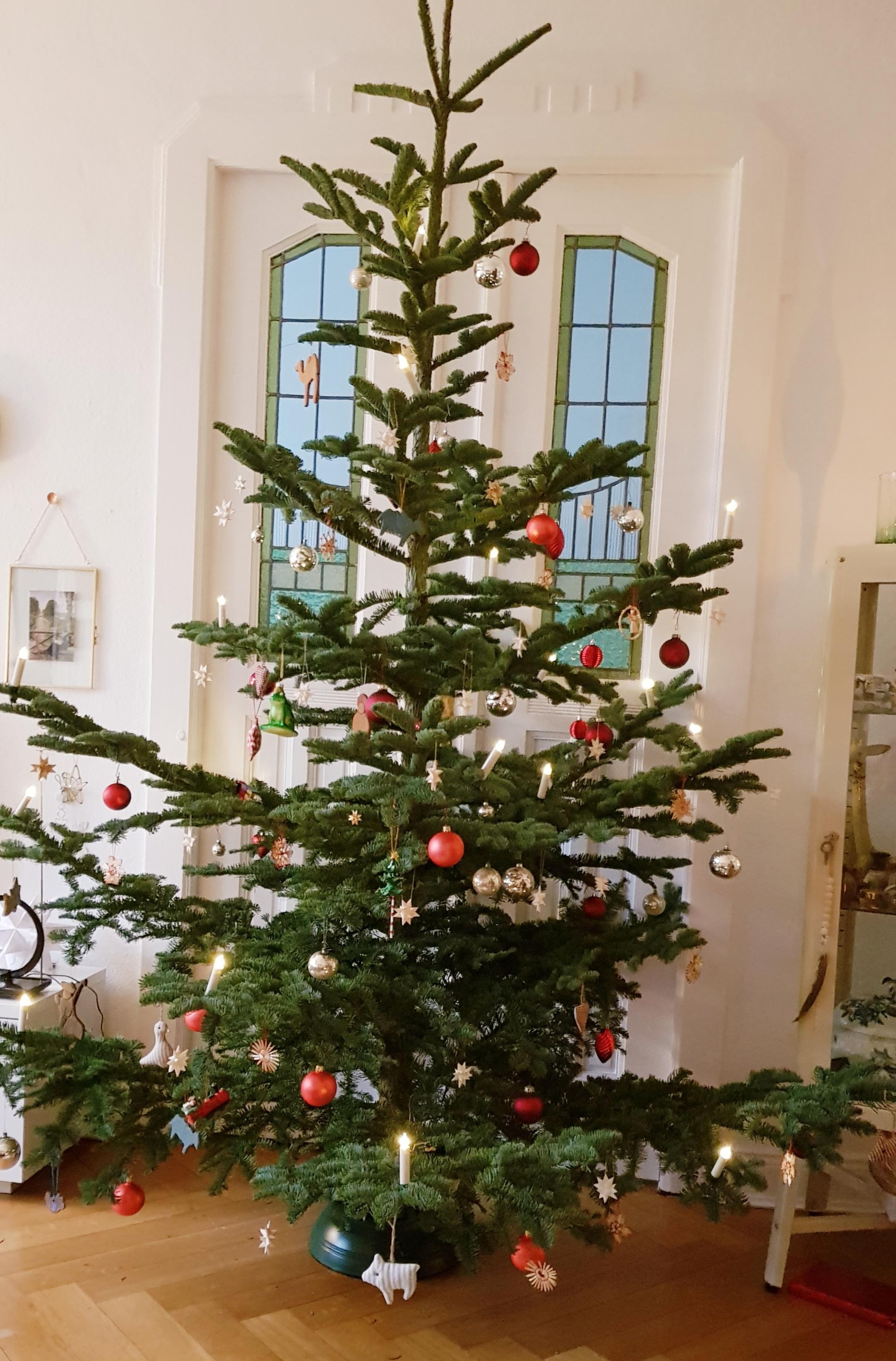 Es weihnachtet sehr 🎄 #weihnachten #weihnachtsdeko #weihnachtsbaum #wohnzimmer #altbau 