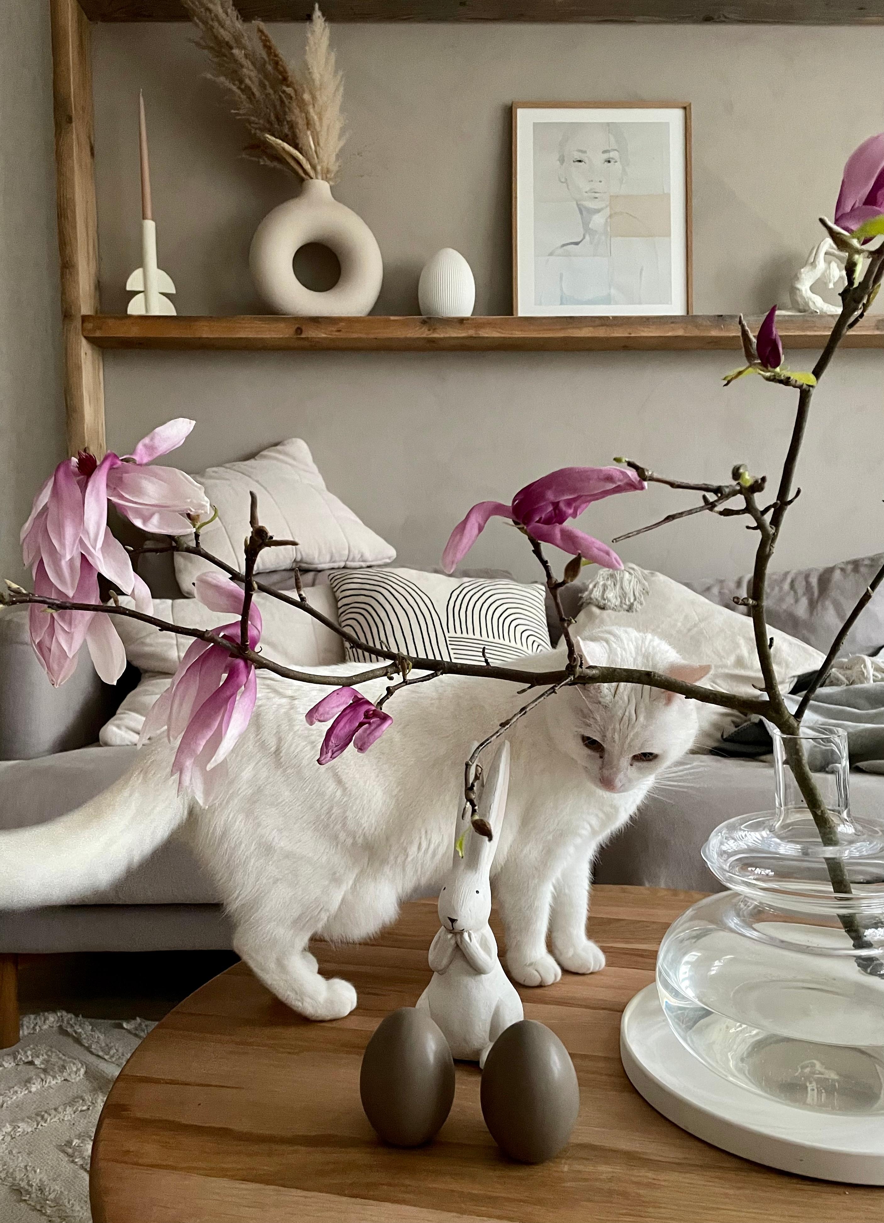 Frohe Ostern🐣🌸 #COUCHstyle #couchmagazin #osterdeko #magnolie #frühlingsdeko #springvibes #katzenliebe