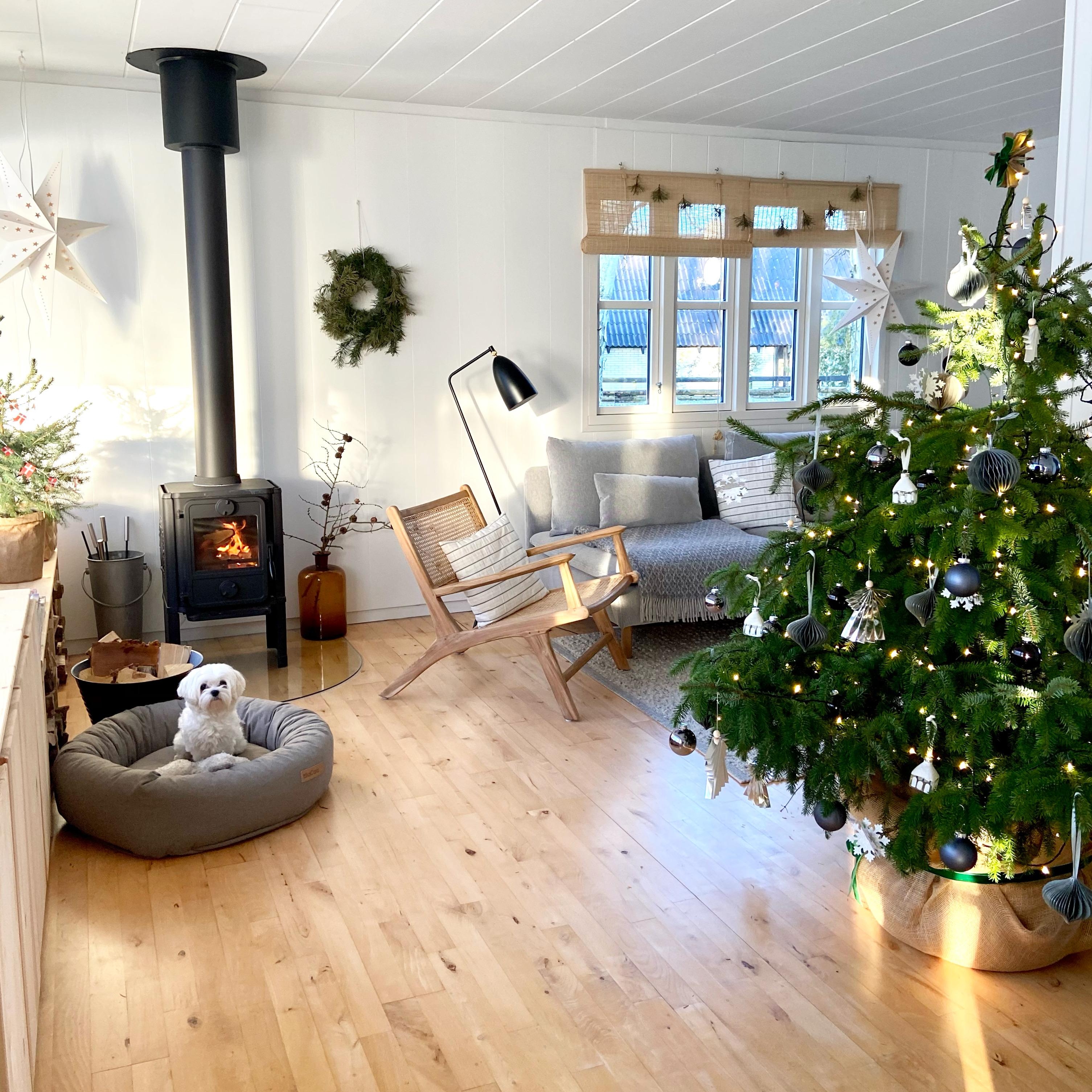 Frohe Weihnachten!
#livingroom #wohnzimmerinspo #wohnzimmer 