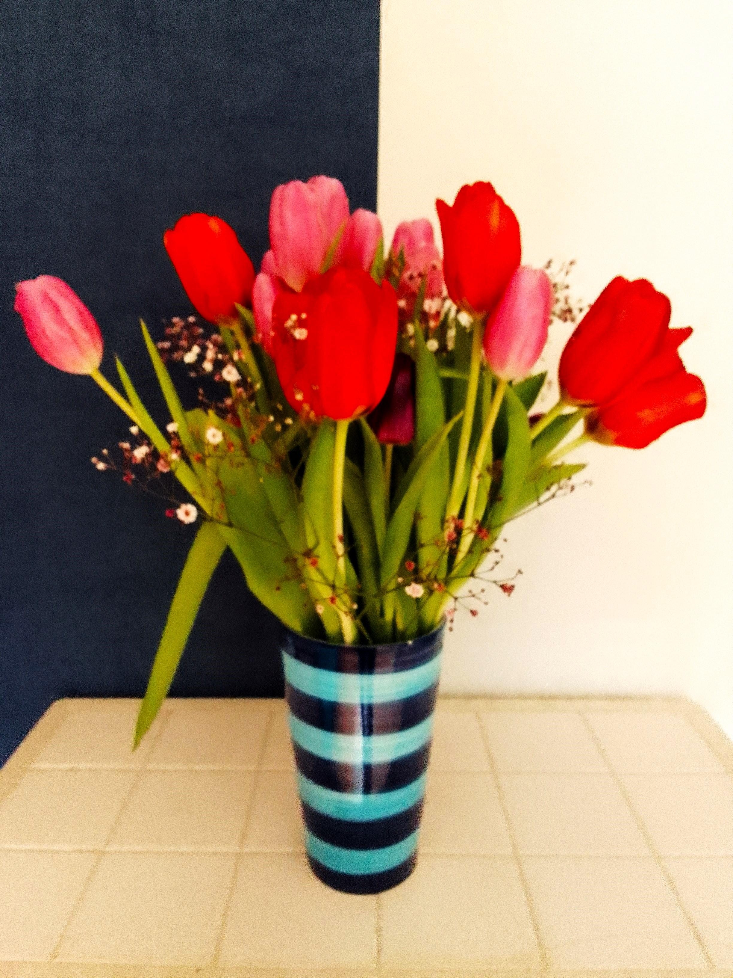 #Frühlingsblumen #Tulpen #Blumen