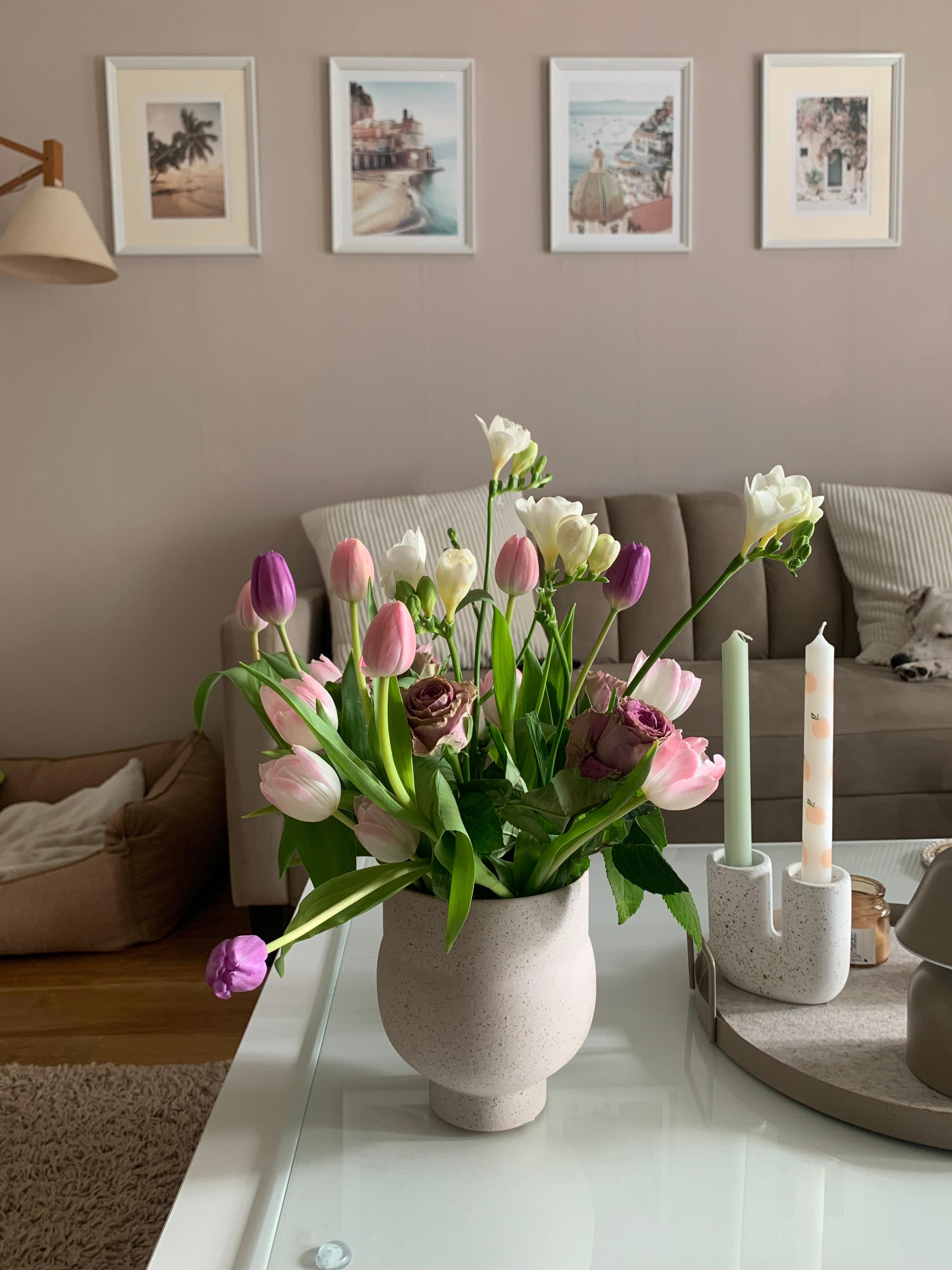 Gemütliche Zeit am Sonntag 🤍🤎

#flower #couch #wandbild #vase #couchtisch #hund #kissen #kerzen #wandfarbe #helleswohnen #lampe #hundebett 