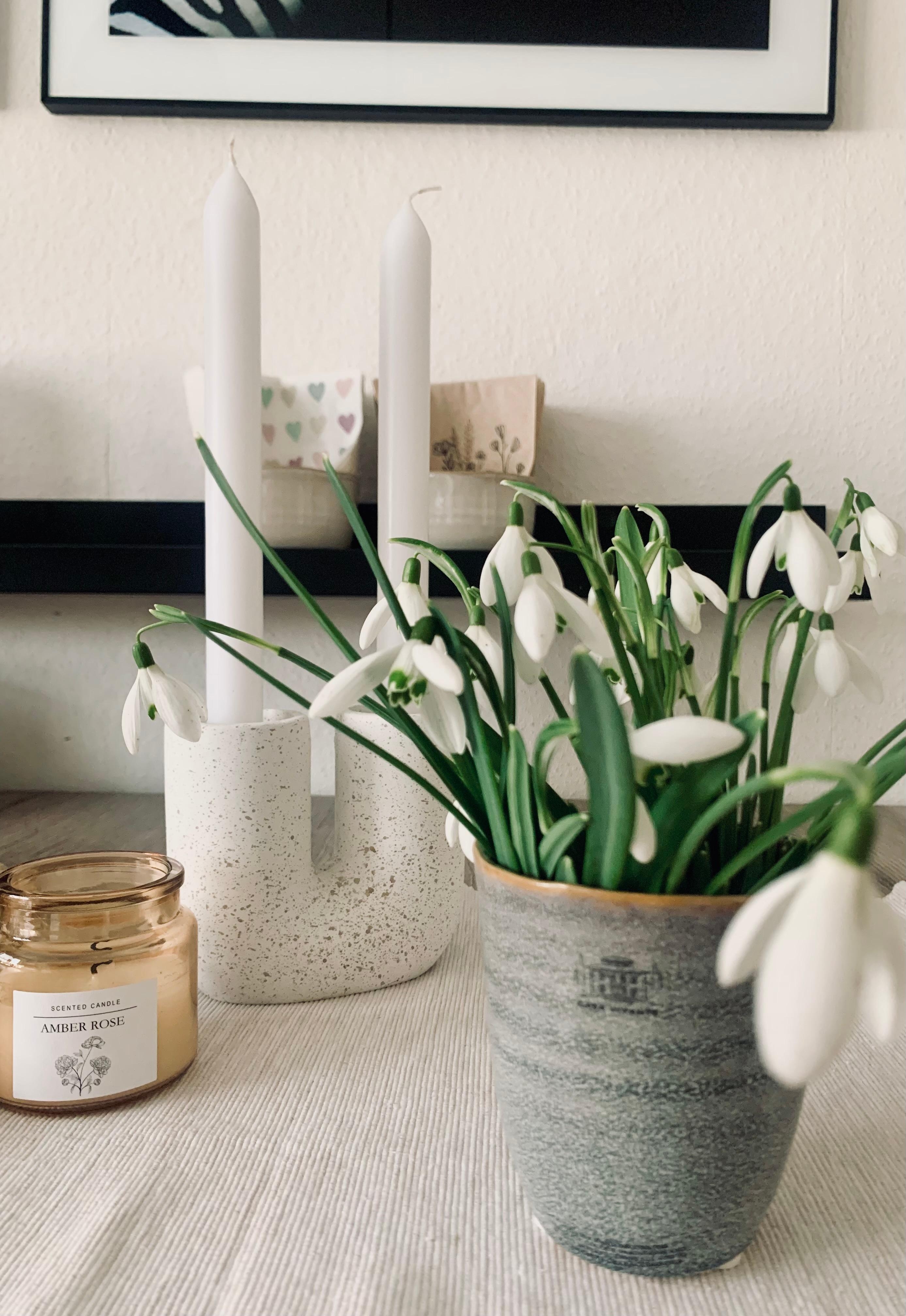 Happy Sunday Schneeglöckchen 🤍

#flower #schneeglöckchen #kerze #tisch #wandboard #vase #kerzenhalter #white #esstisch 