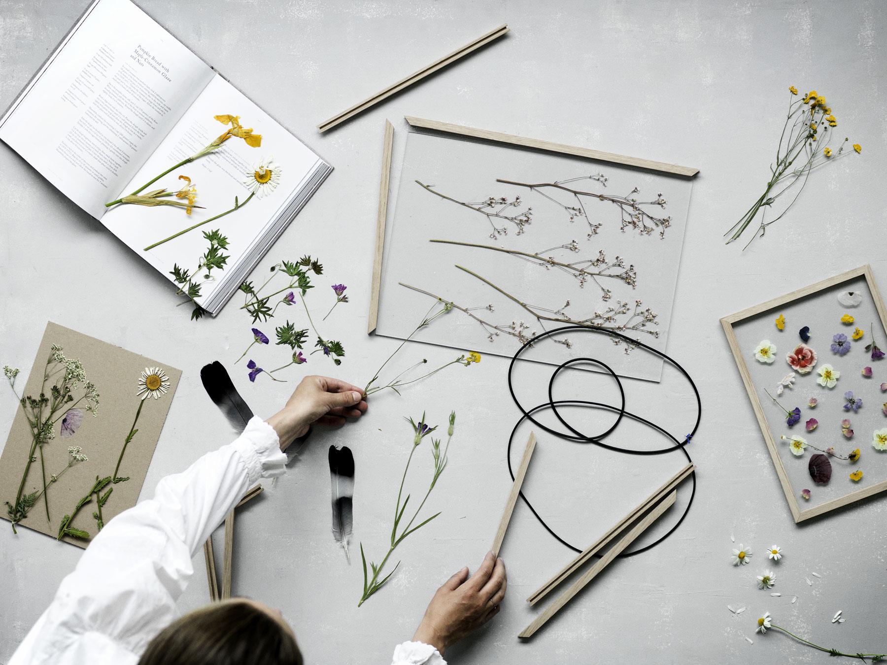 Herbarium der Meisterklasse - FRAME von Moebe #bilderrahmen #herbarium ©Moebe