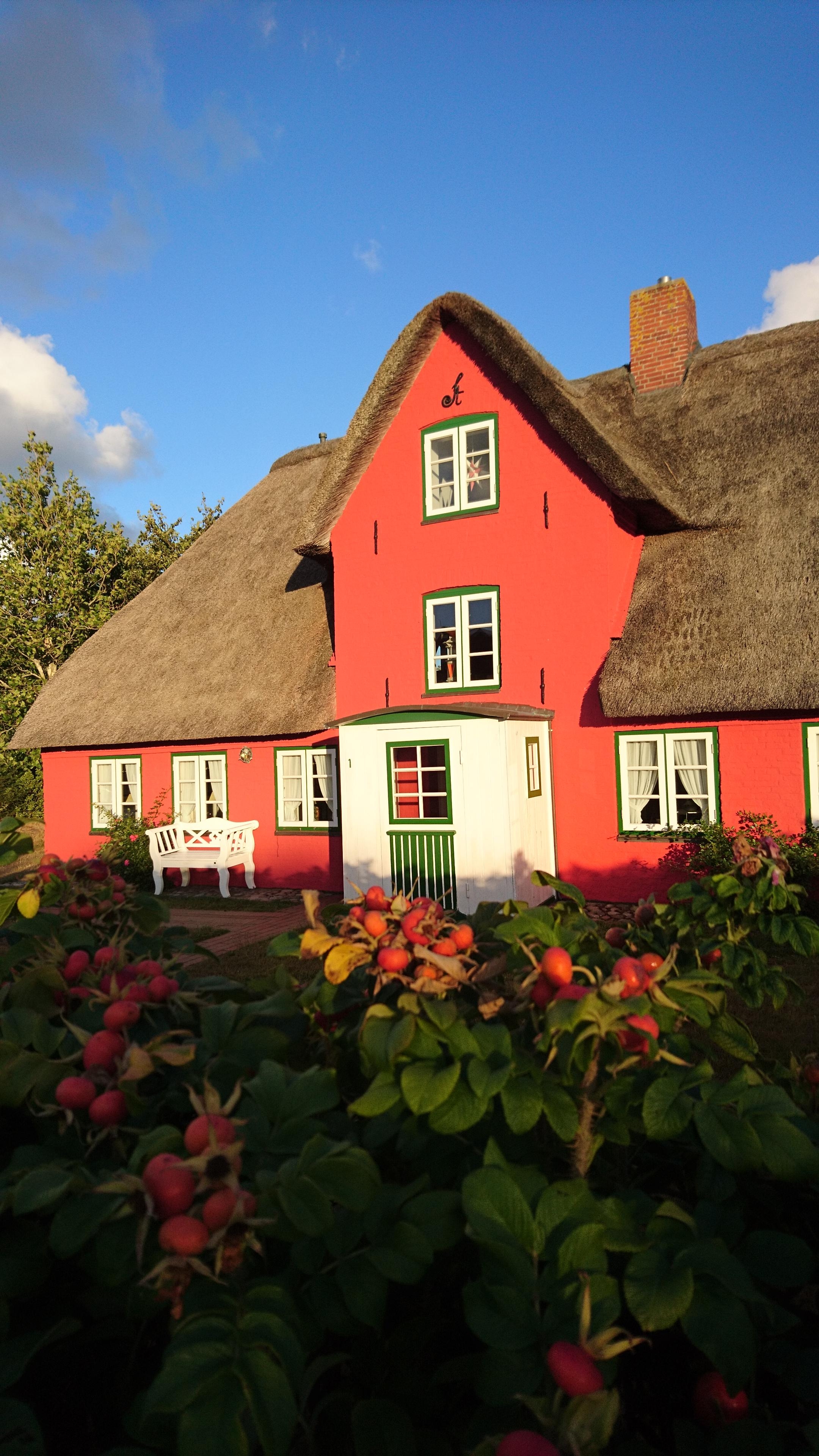 I felt in love with the red house ☀️
#reetdach #urlaub #nordfriesland