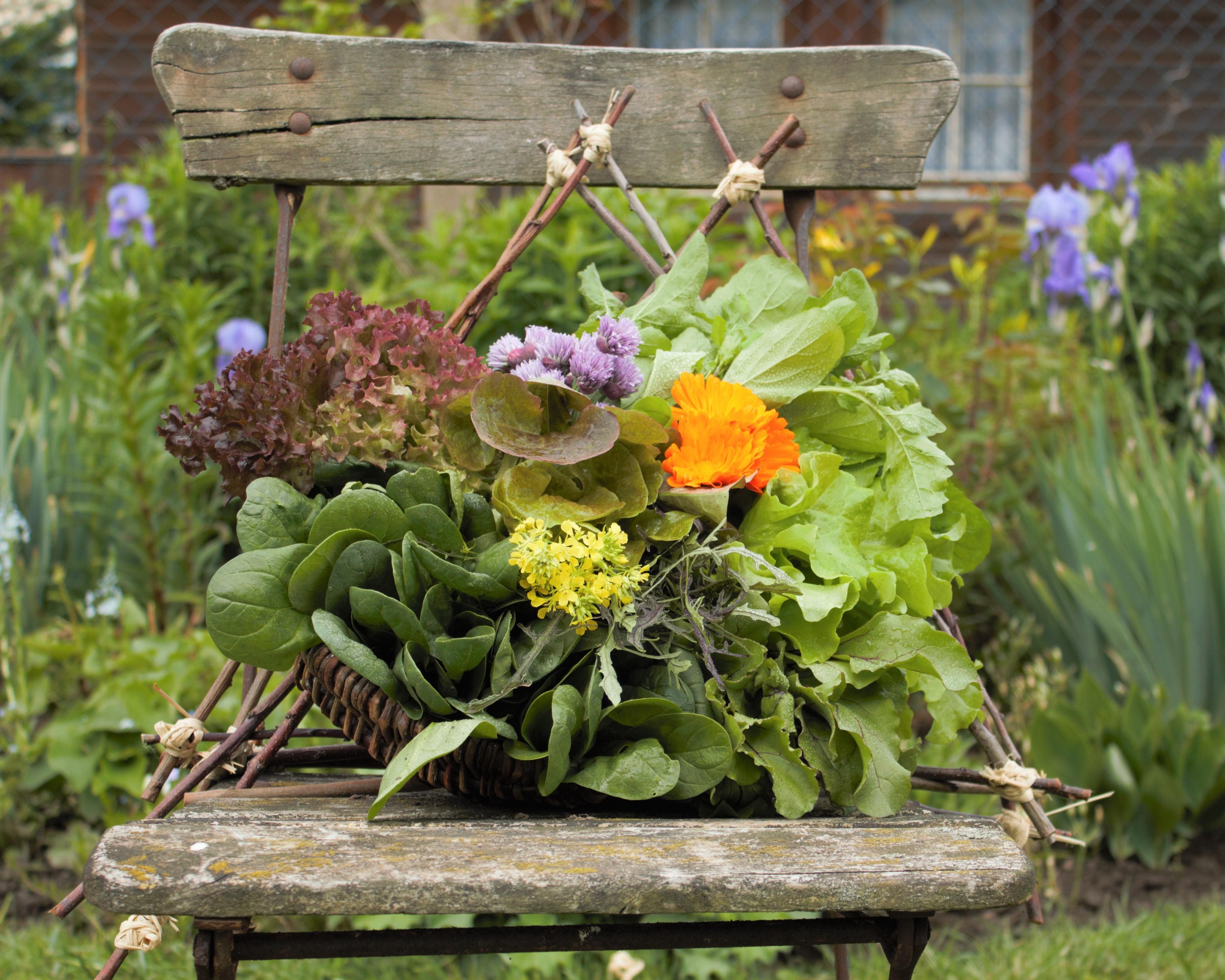 Ich bin im Moment viel im Garten, hier die Ergebnisse die  auch wunderbar schmecken!
#garten#garden#gartenliebe#salat