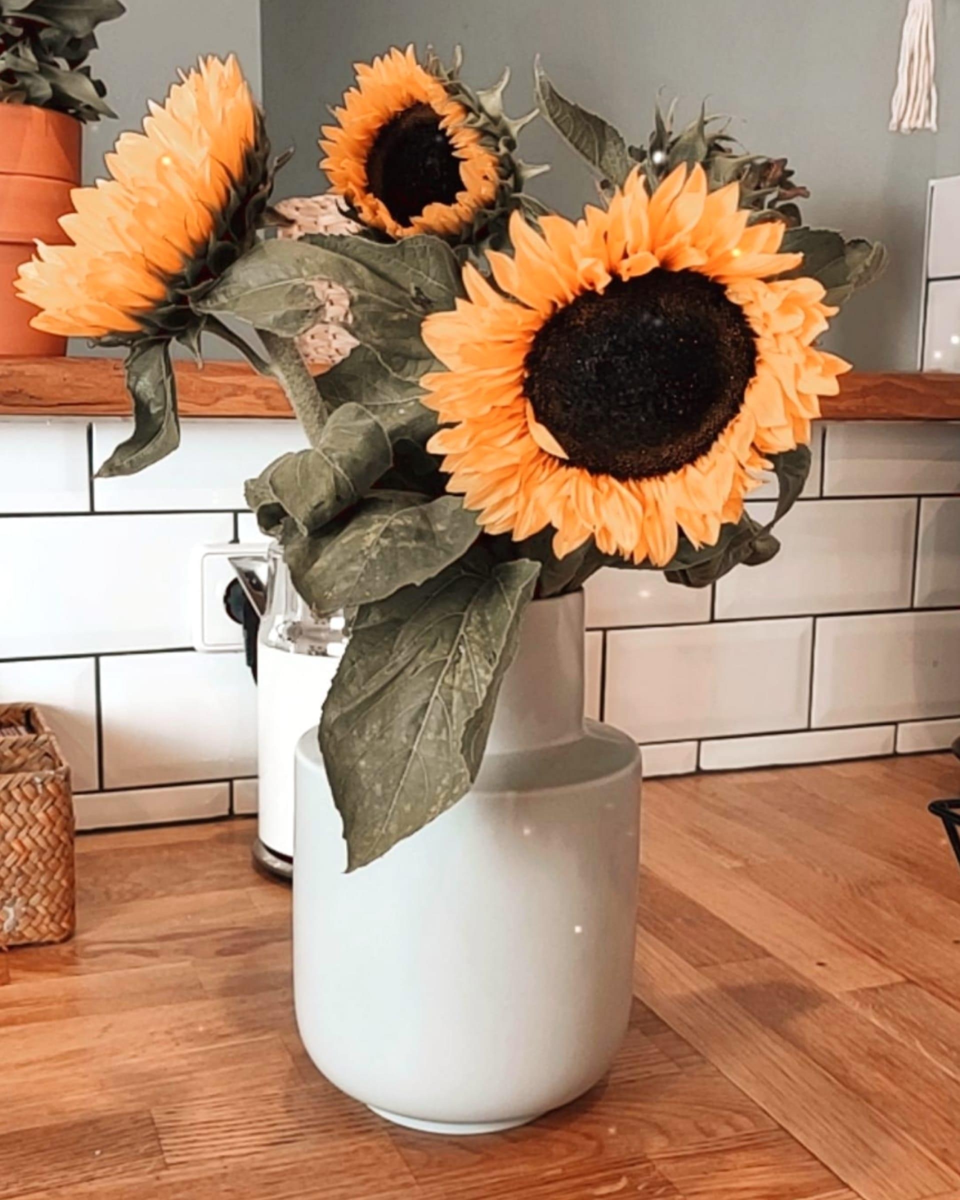 Ich liebe Sonnenblumen einfach so sehr😍

#bohohome #skandiboho #ethno #sunflowers #flowerpower