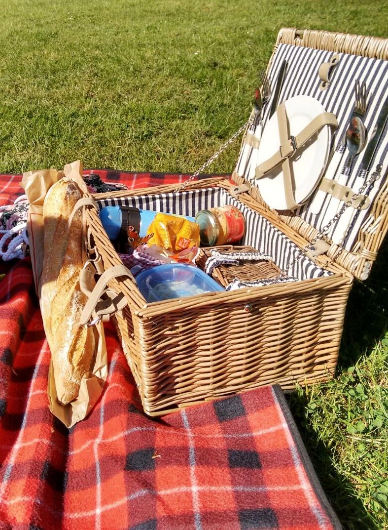Ich wünsche mir den Sommer zurück! #picknick #karo #decke #sommer #picknickkorb