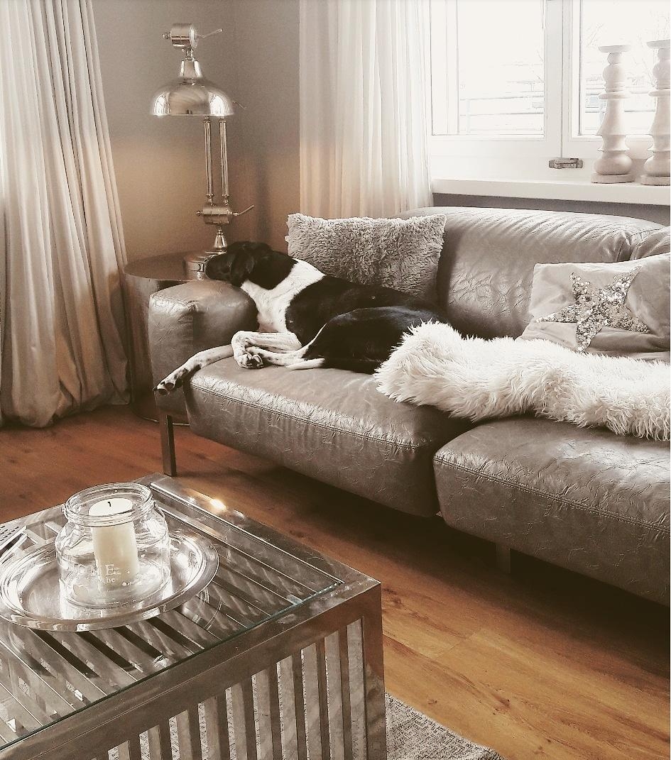 #interiorstylist #doglover #couch #timetorelax #livingroomdesign #homecoaching #livetolife