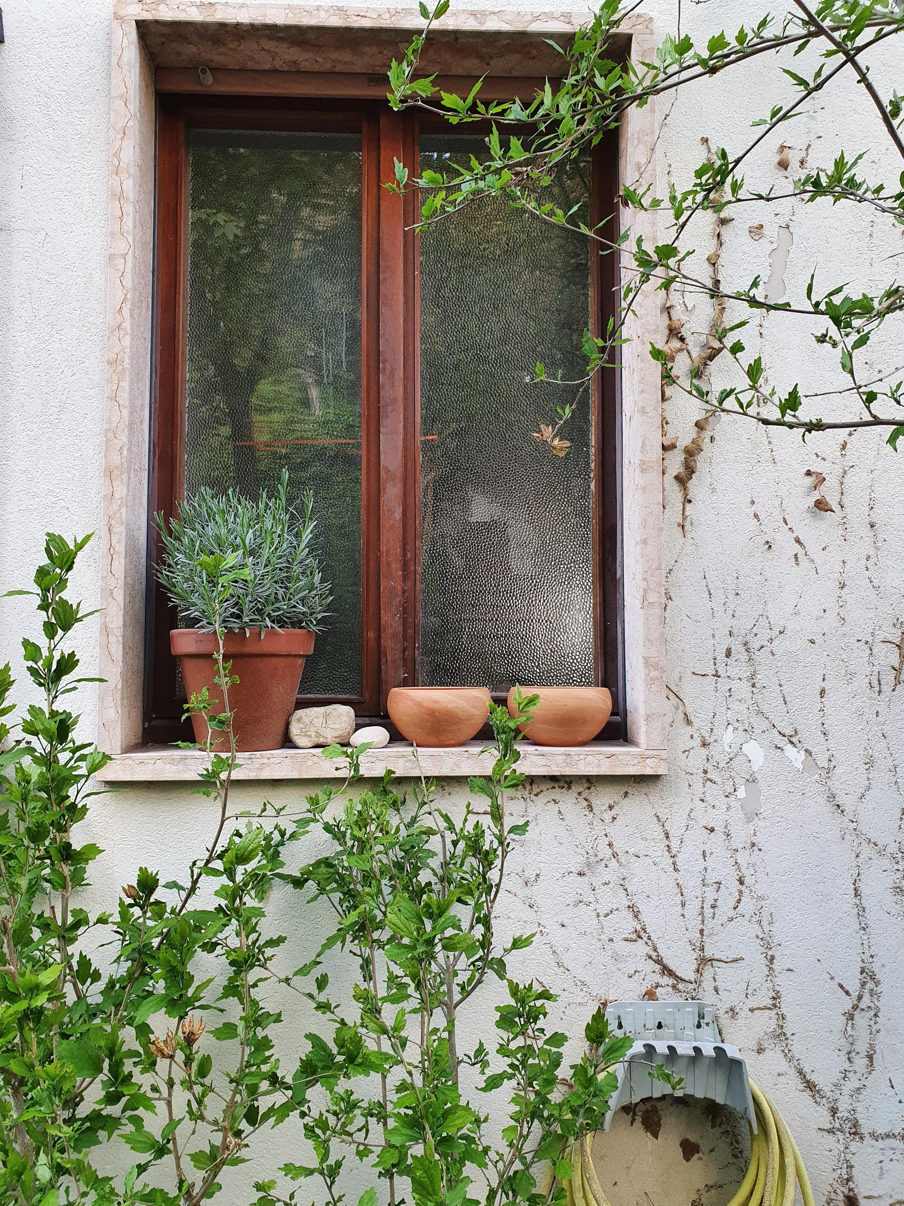Italienische Fenster.... #detailverliebt #altbau #couchstyle #italien #couchliebt #gartenliebe