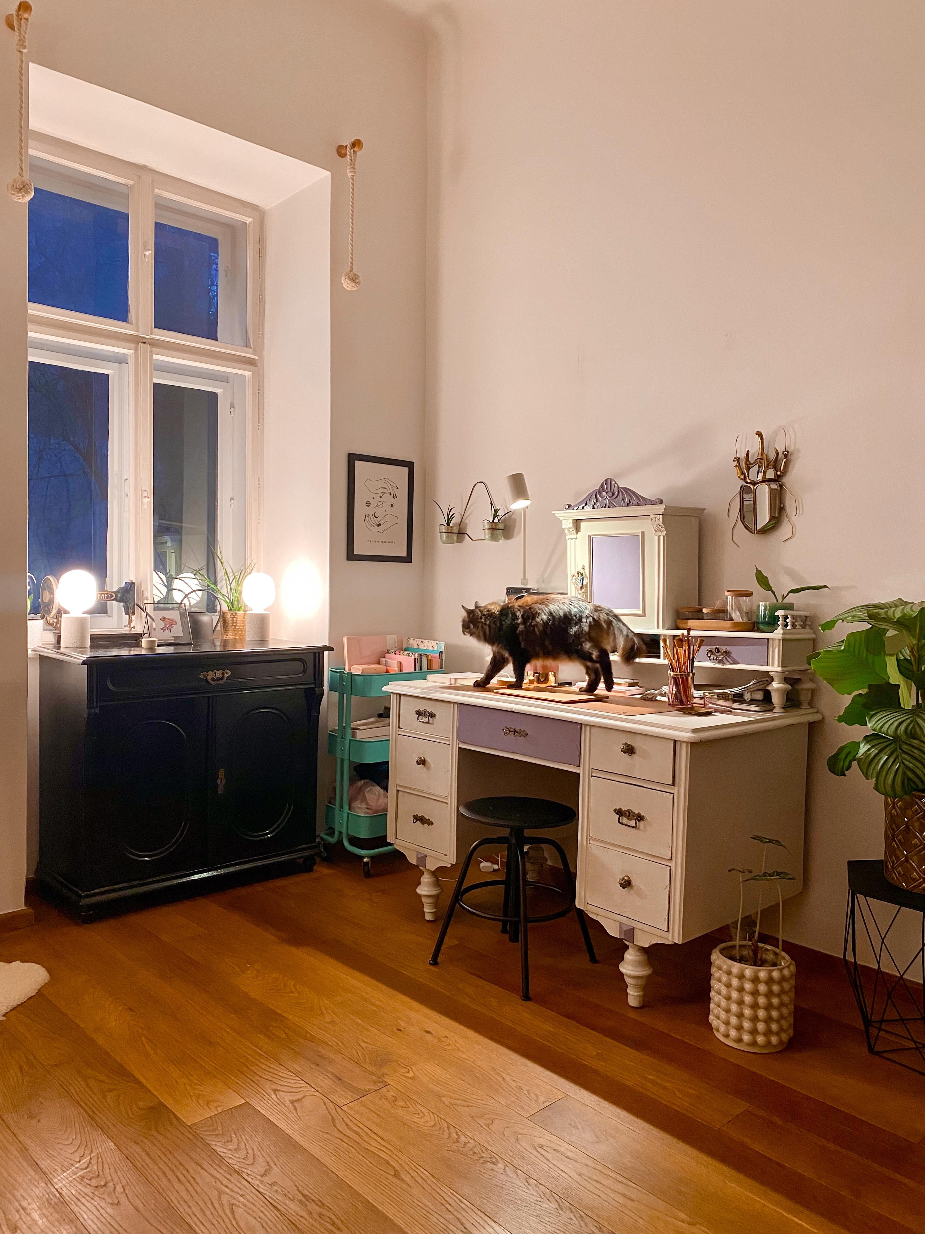 Katzen und alte Möbel, zwei meiner großen Leidenschaften, noch besser in Kombination! 🐈‍⬛

#Wohnzimmer #Katze #schreibtisch #licht #vintage #abendstimmung