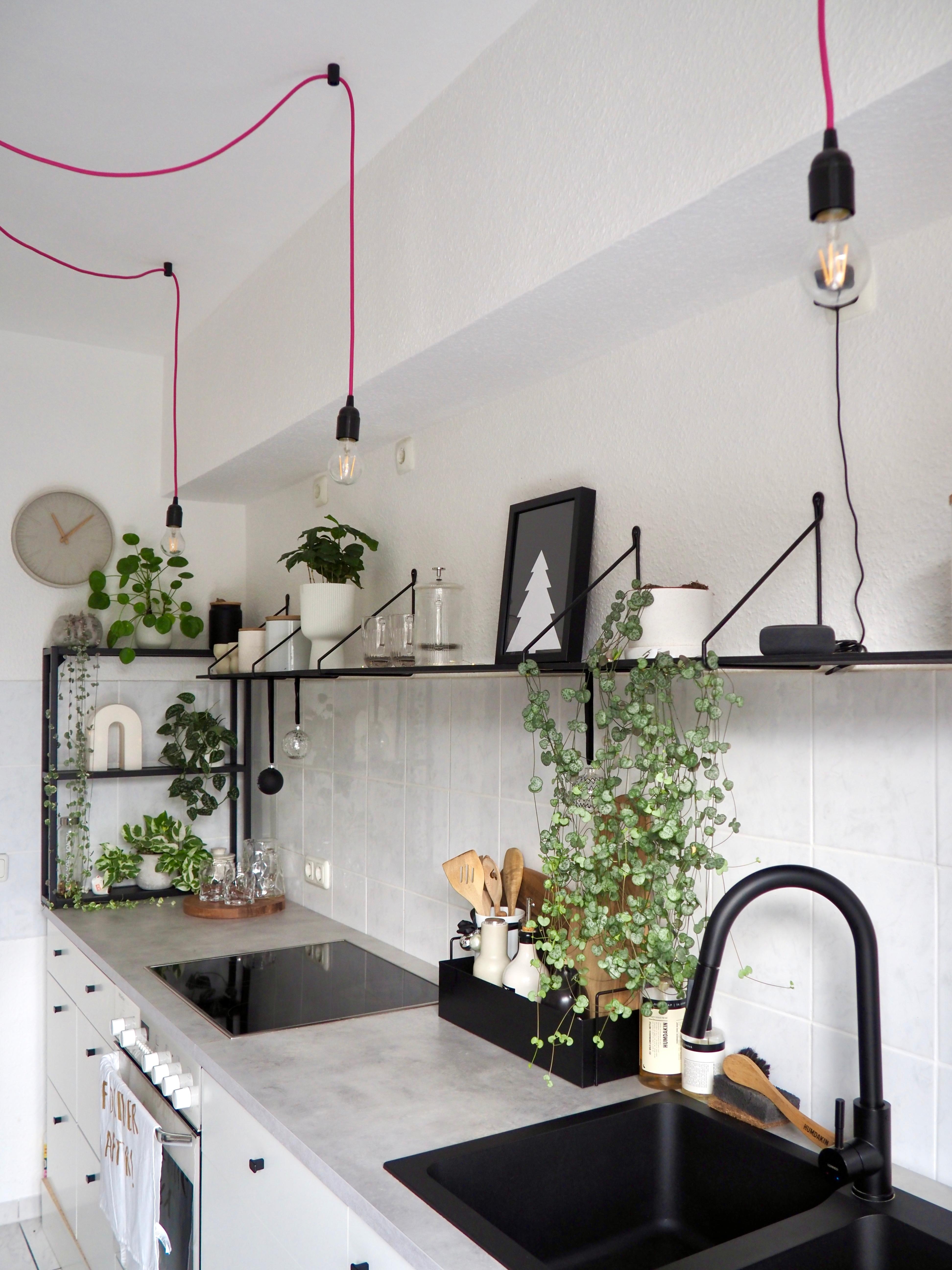 #küche #industrialstyle #beton #shelf #plants #plantshelfie #offeneküche #weißeküche
