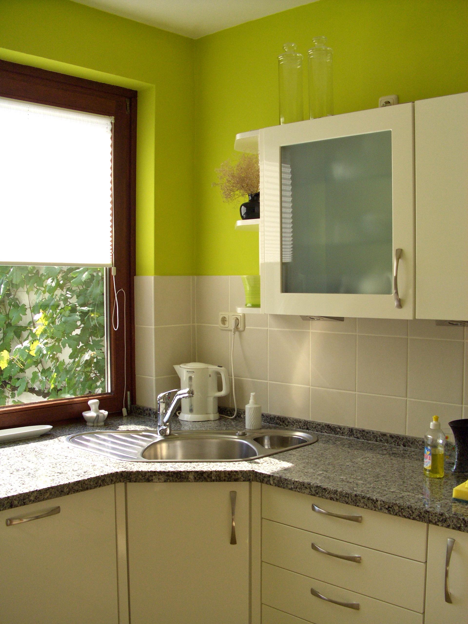 Küche mit Farbe #küche #grünewandfarbe #küchenfront ©Yvonne Habermann