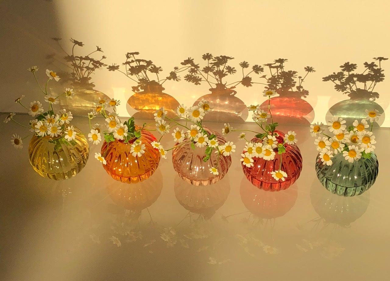 #lichtspiel der bunten #vasen in der #abendsonne #blumendeko #kamille #sobuntwiewir #lichtundschatten