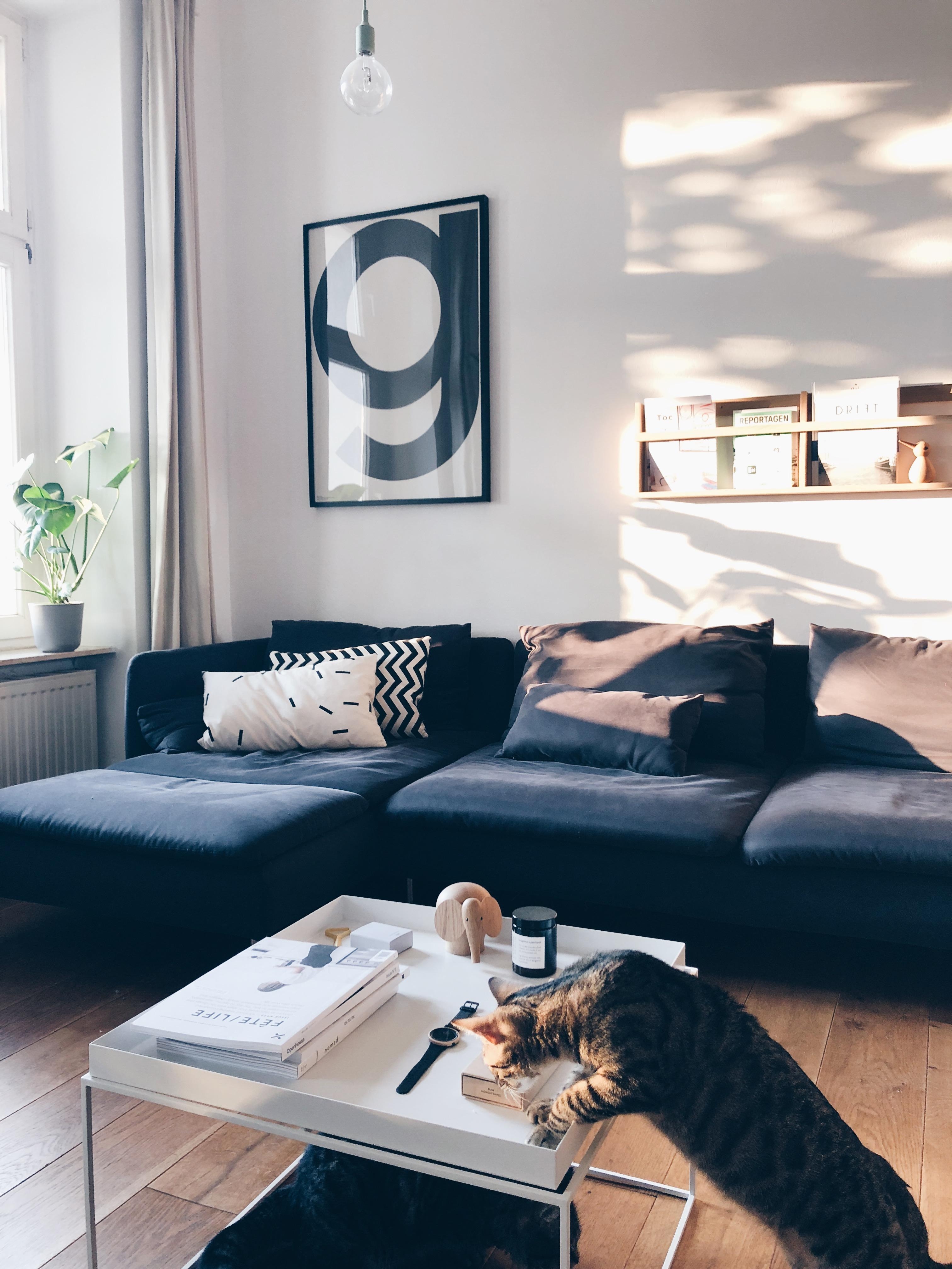 #livingroom #eveninglight #cats #scandinaviandesign