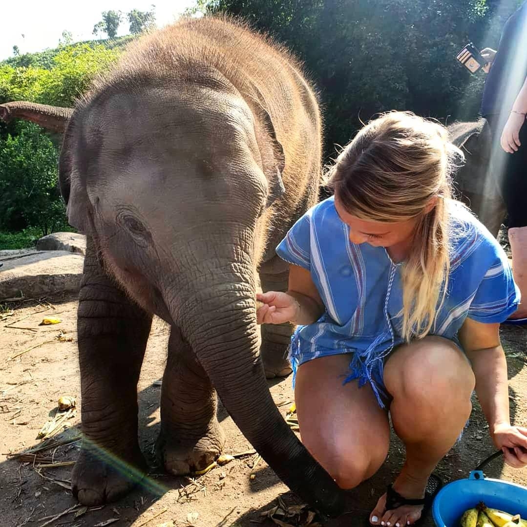 mit nem babyelefanten kuscheln 🐘🖤 #meinschönsterurlaub #travelchallenge #thailand #elefanten #auffangstation