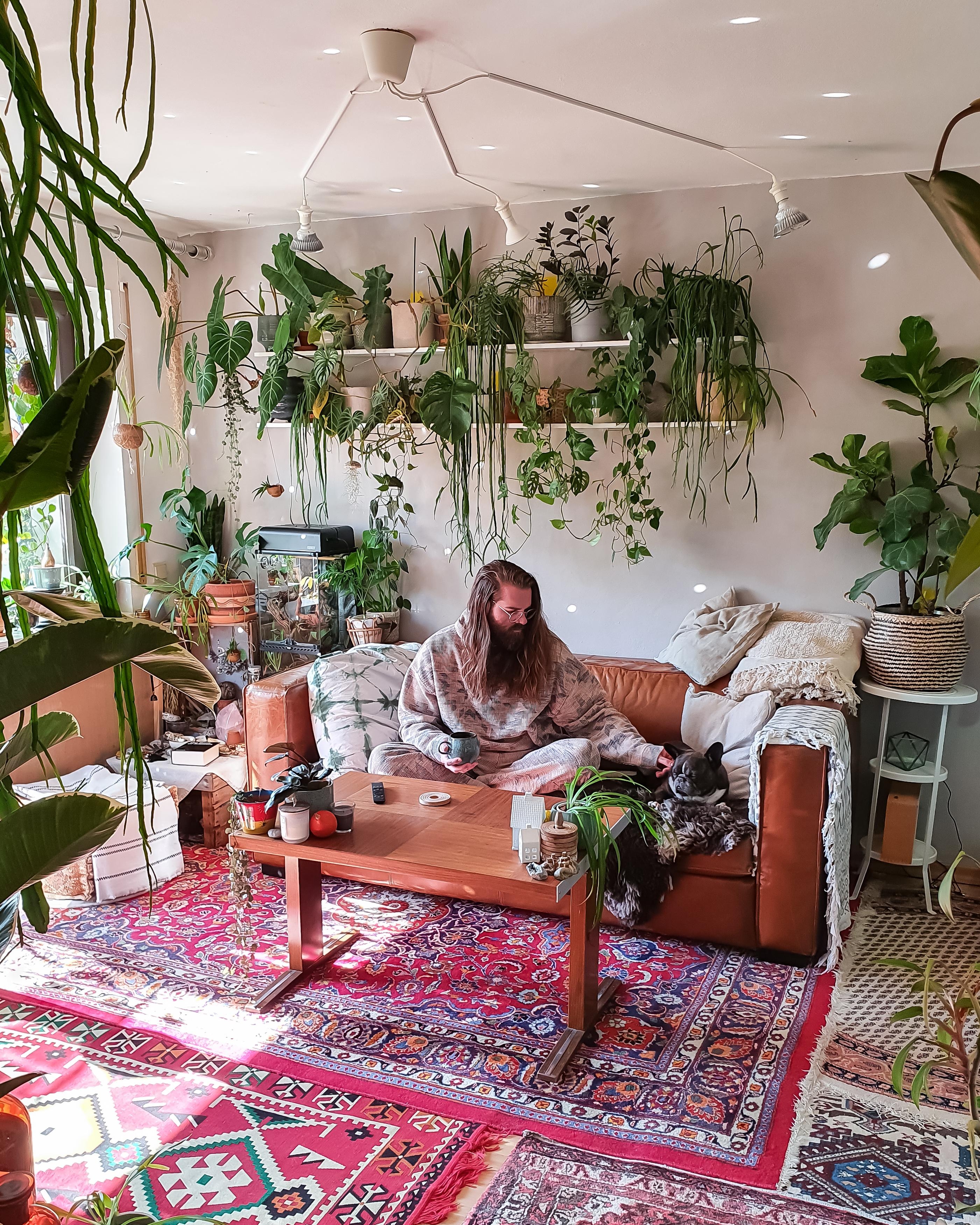 Montag #Wohnzimmer #Pflanzen #grün #Regal #Teppich #boho #urbanjungle