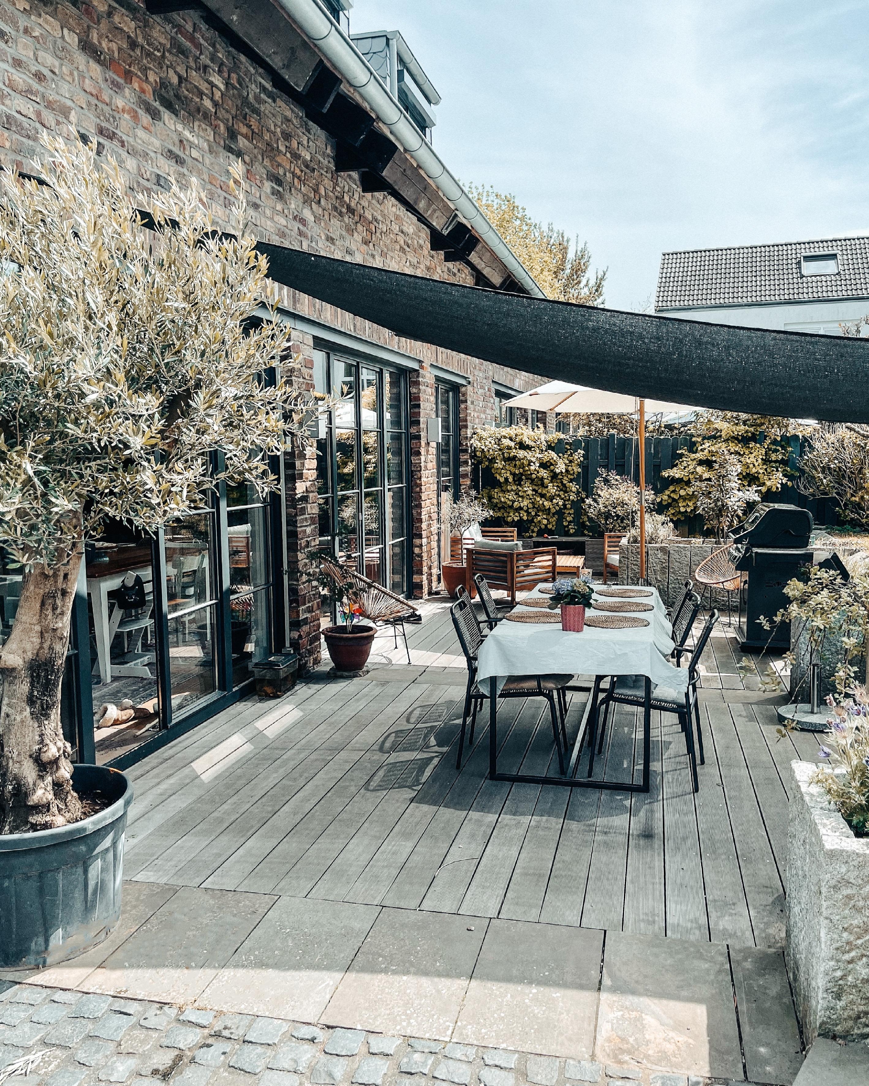 Olivenbaum #terrasse #garten #sommer #lounge