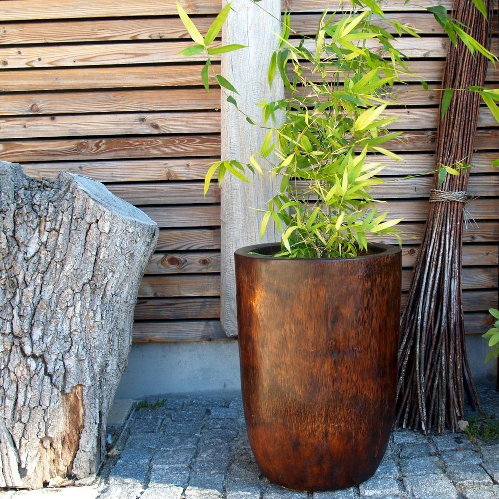 sieht das nicht toll aus ? #Bambus in einem #Topf aus #Palmenstamm
#dekoshop www.a-zone-art-house.de