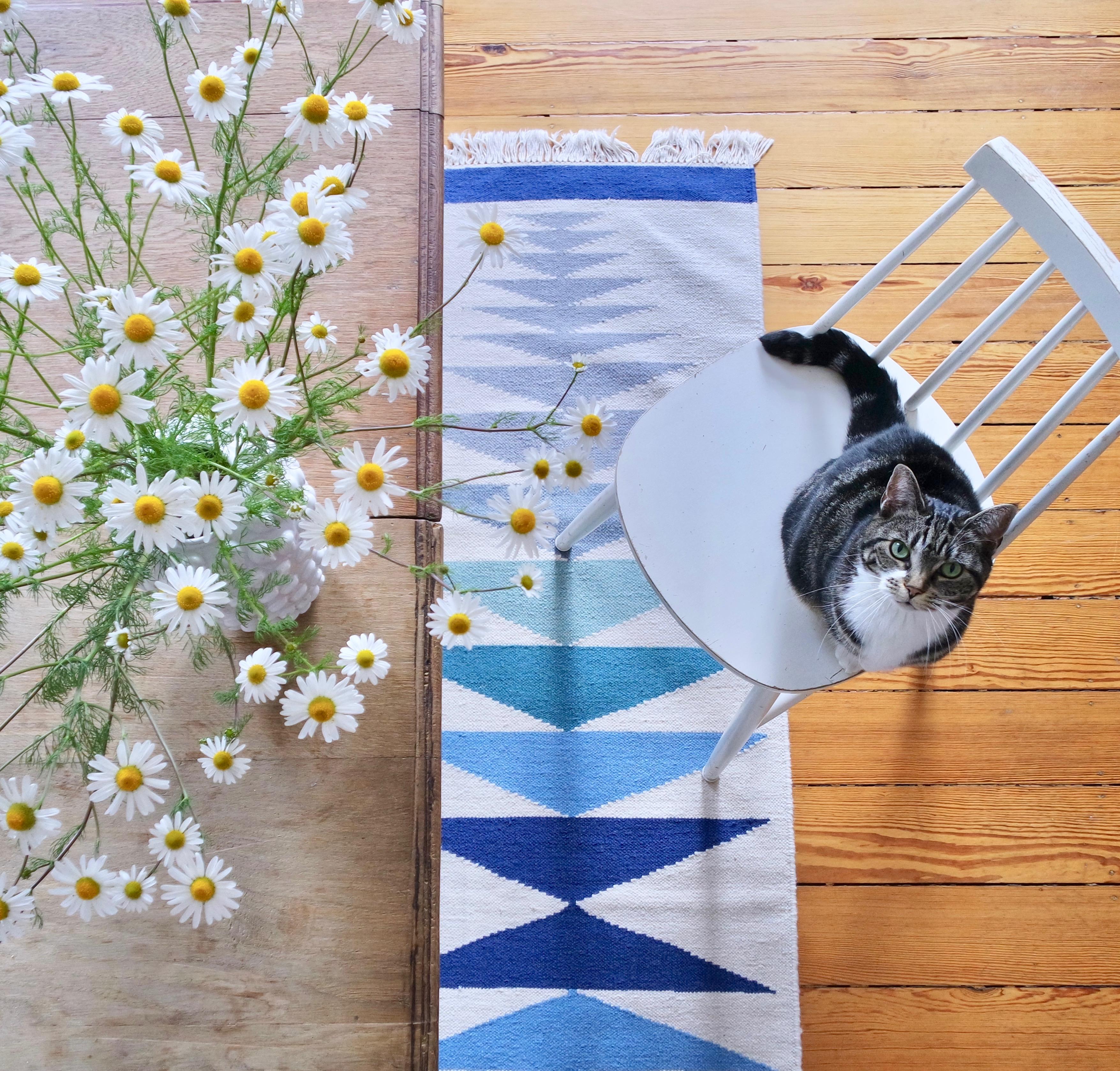 Sommer, frische Kamille in der Vase und Jenne. Was will man mehr? :)
#summerstyle #blueroom #freshflowers #cat #Jenne