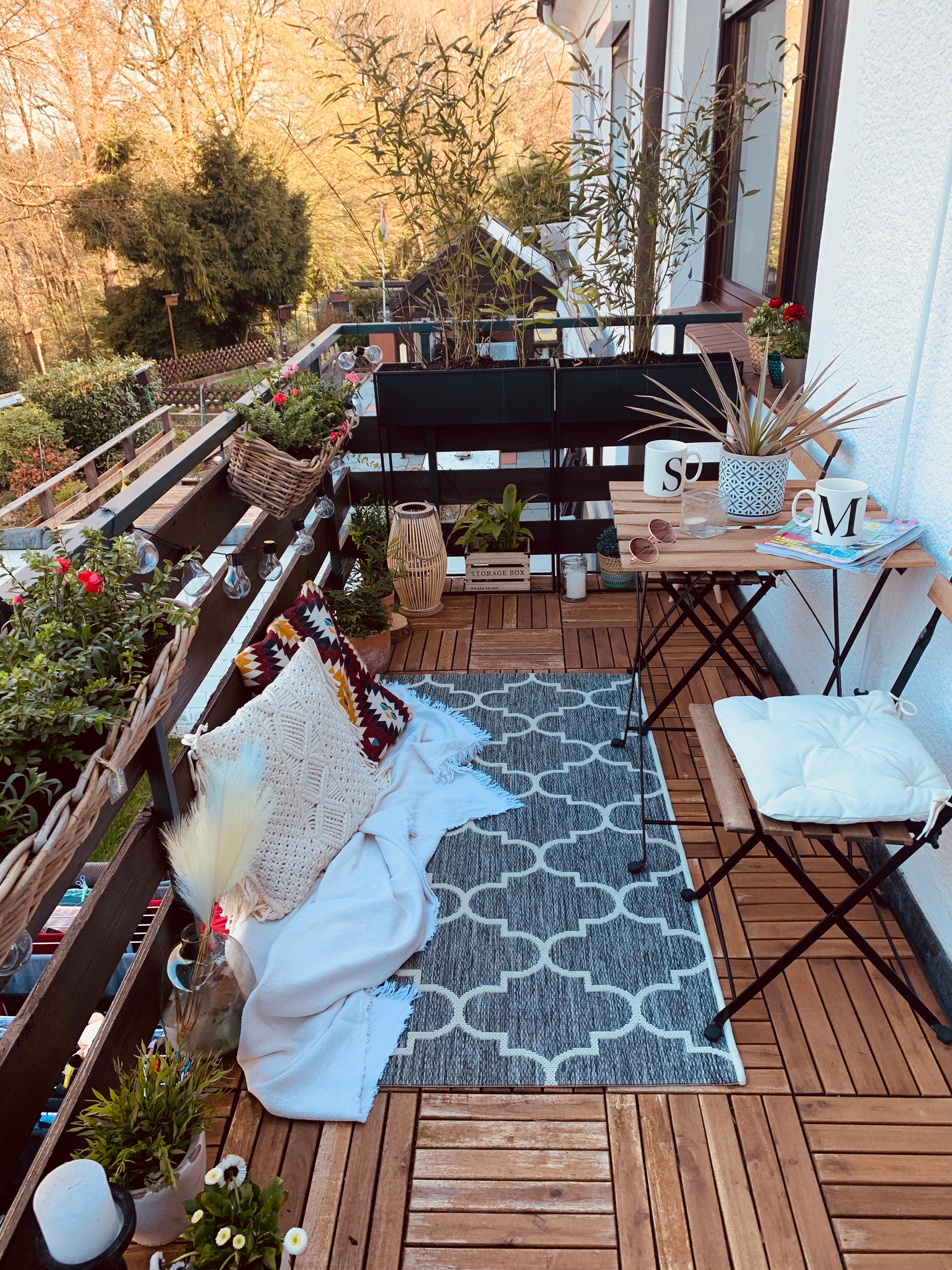 Sommerbrise #balkon #balkonien #diy #pflanzenliebe #glücksmomente #oase #sommerliebe 