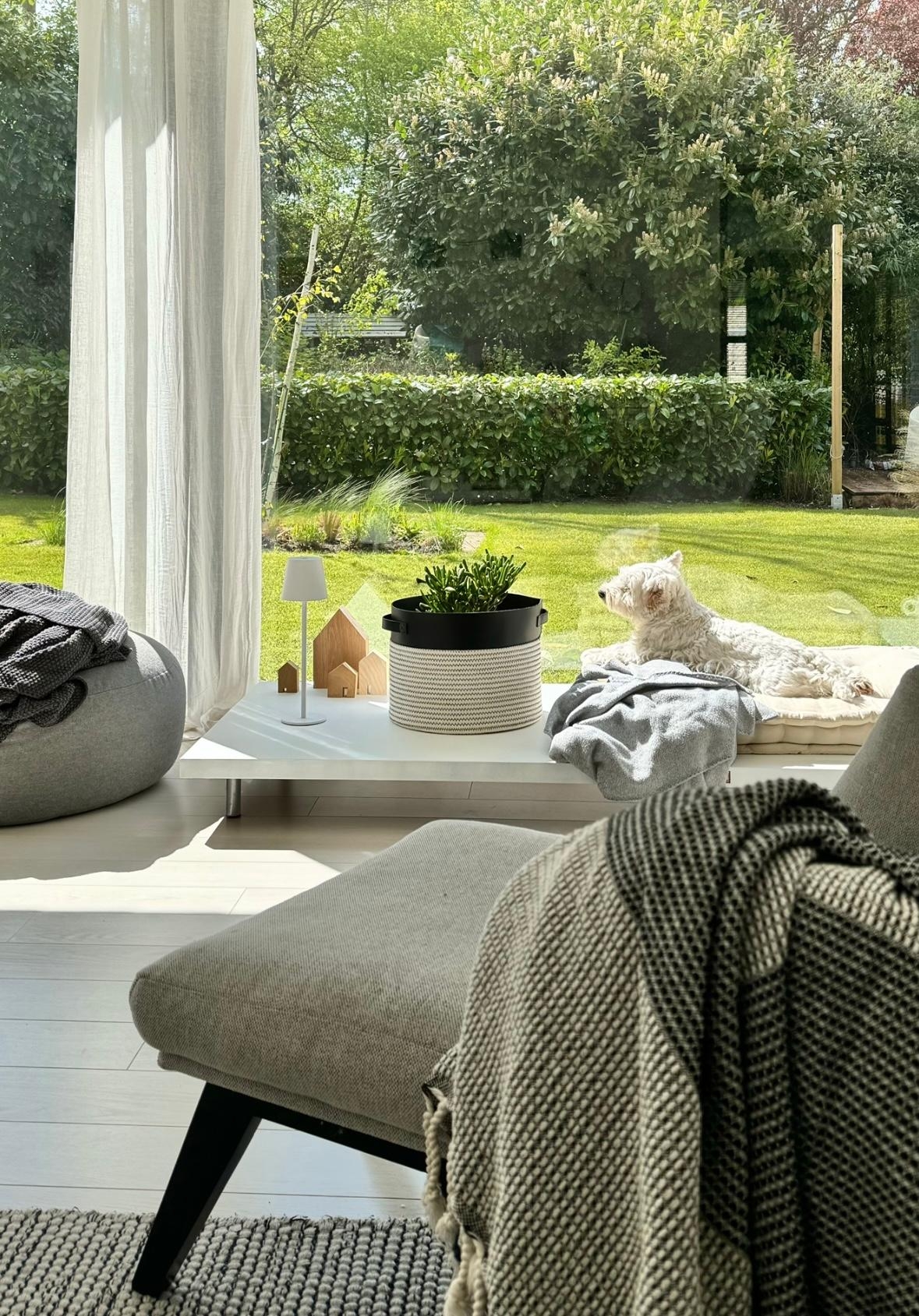 Sonnenbad 🐶✌🏻#sogehtsgeradenoch #couchstyle