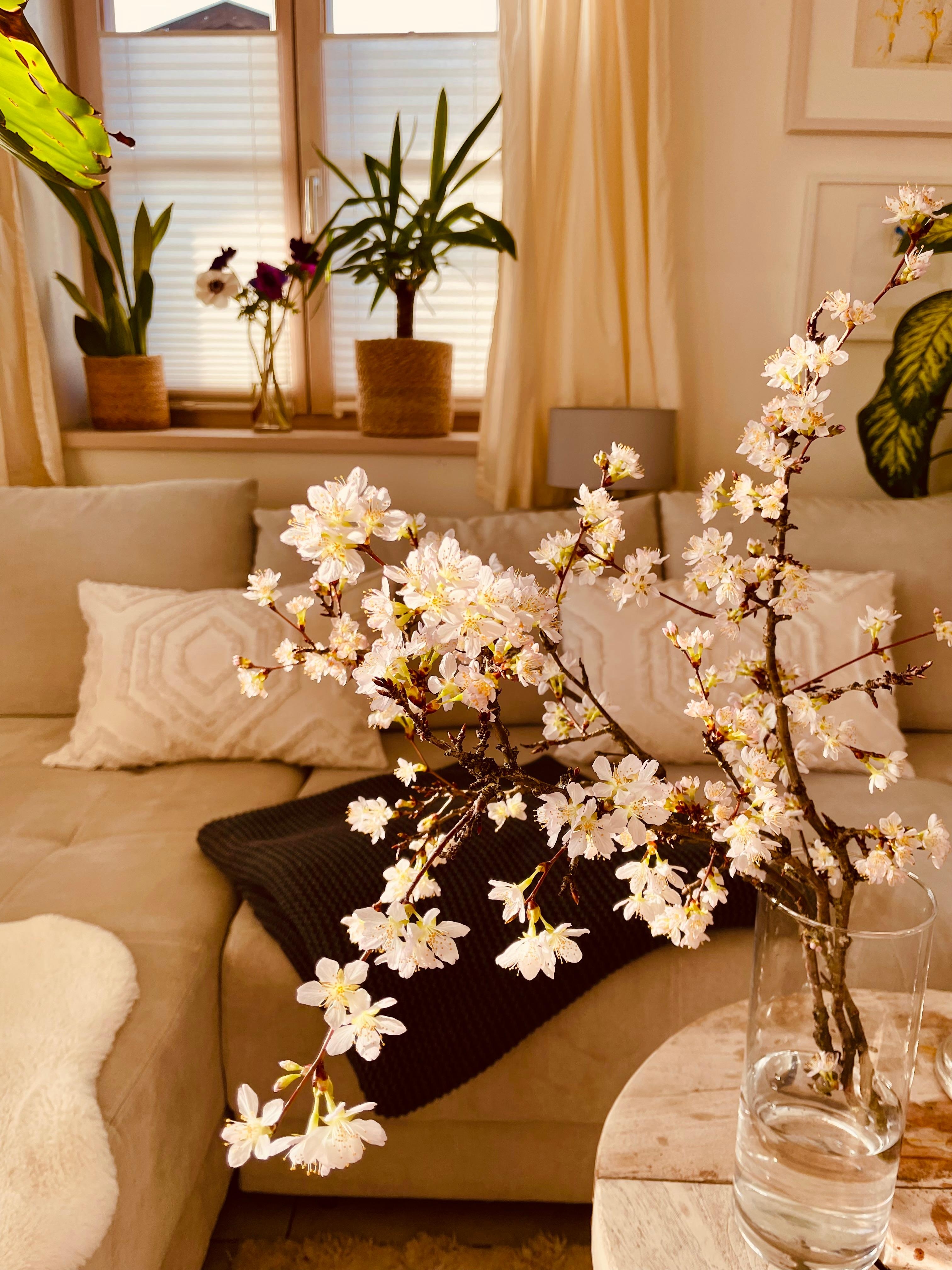 #springdecor #spring #happy #loveleyplace #livingroom 