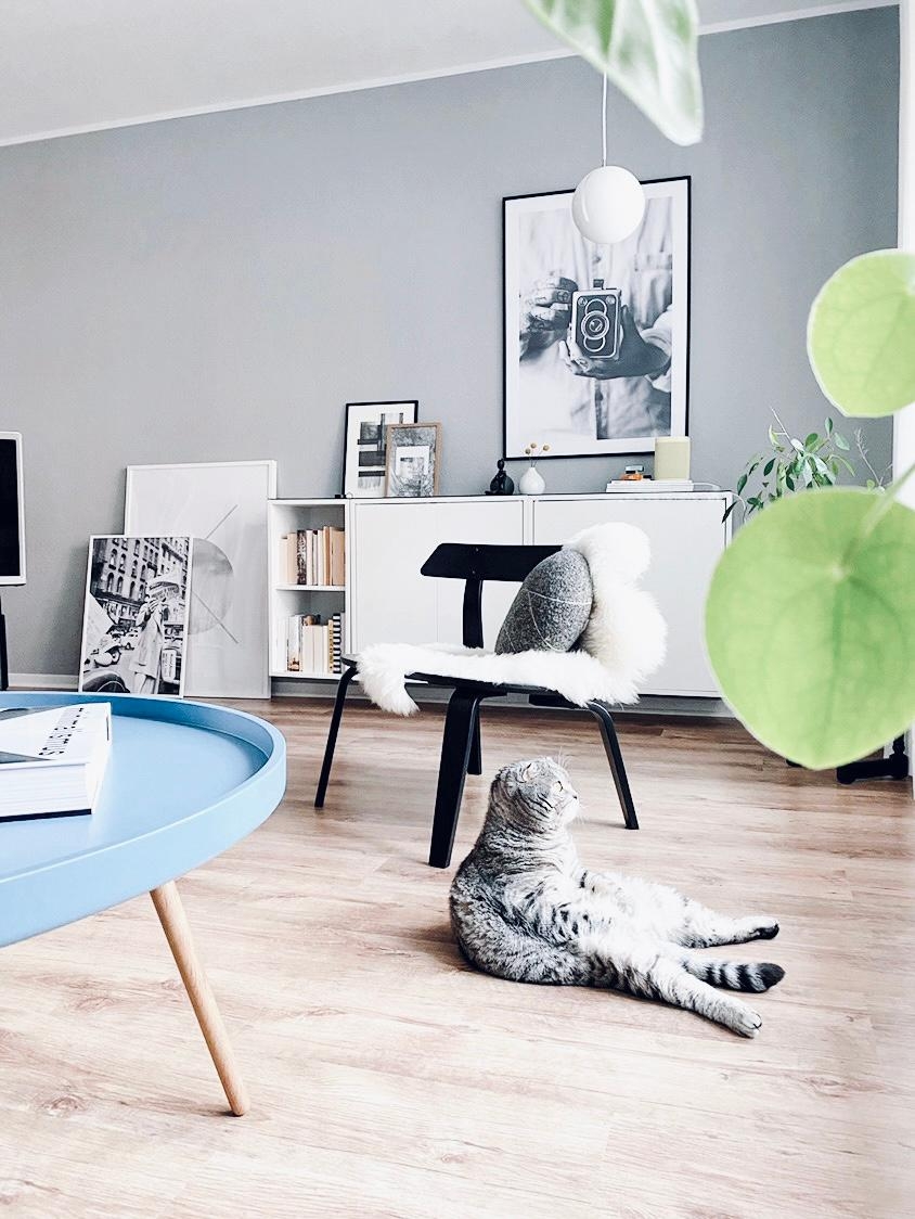 Sundaymood
#catlover #murzikthegrumpyone #interior #monochrome #mynordicroom #minimalism