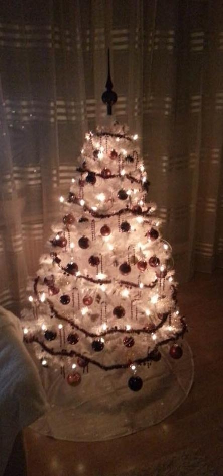 Unser Weihnachtsbaum. Dieses Jahr sollte er weiß sein.