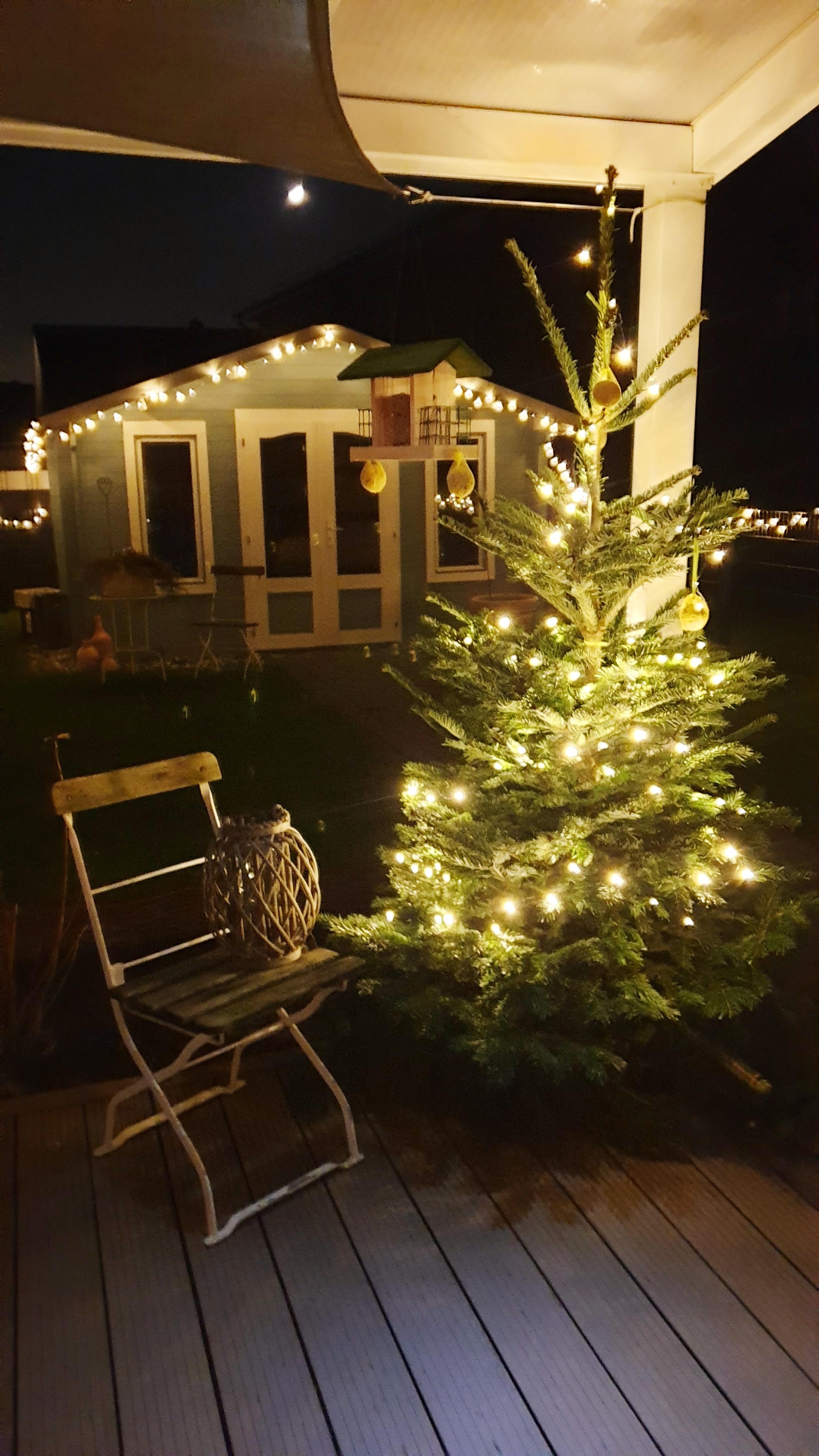 #weihnachtsbaum #Gartenbeleuchtung
Es weihnachtet auch im Garten 

