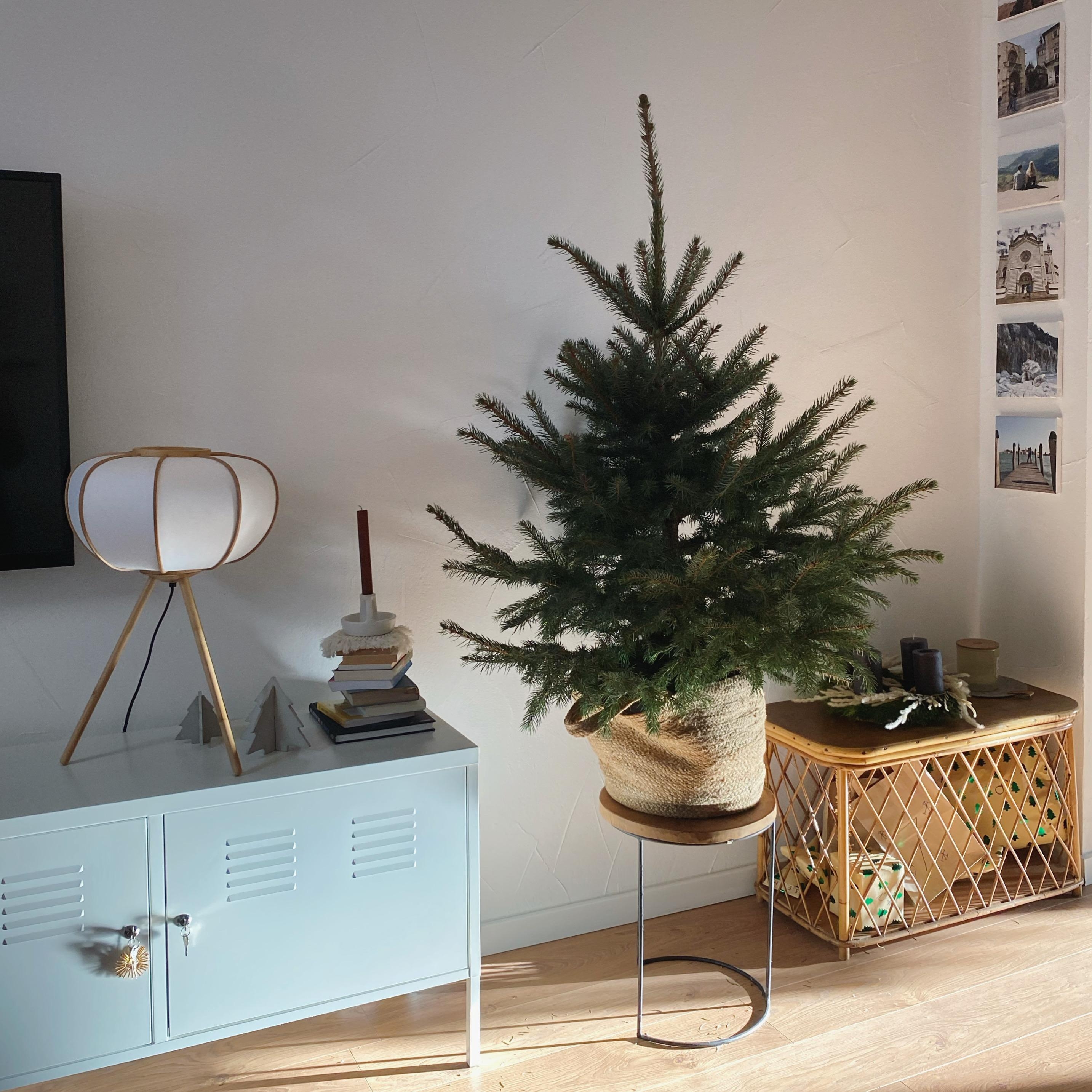#weihnachtsbaum #weihnachtsdeko #tannenbaum #weihnachten #couchstyle #couchmagazin