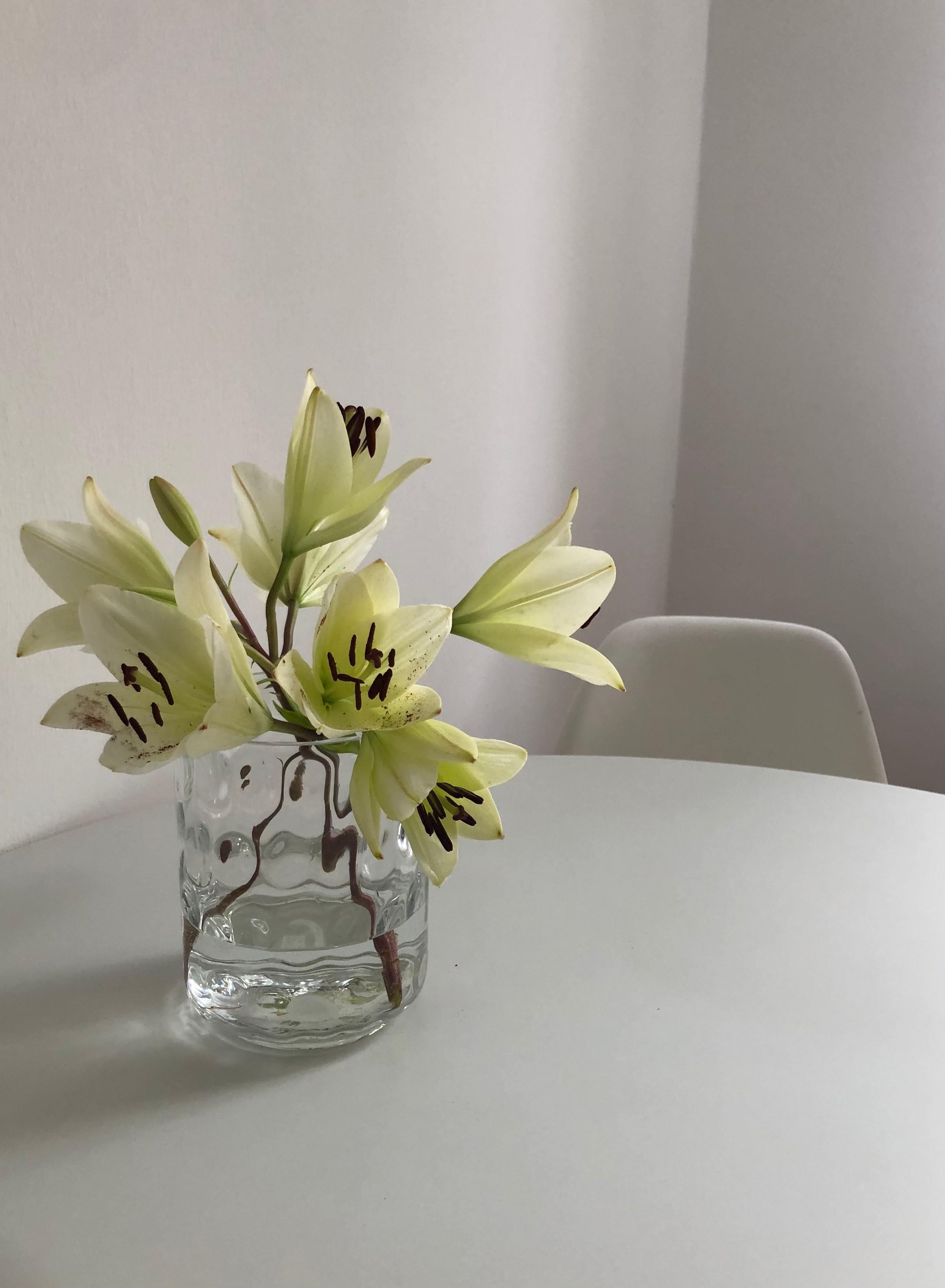 Willkommen neue  #Vintage Vase 🤍 #sonntag #eameschair #eames #eamessidechair #tuliptisch #lilien
