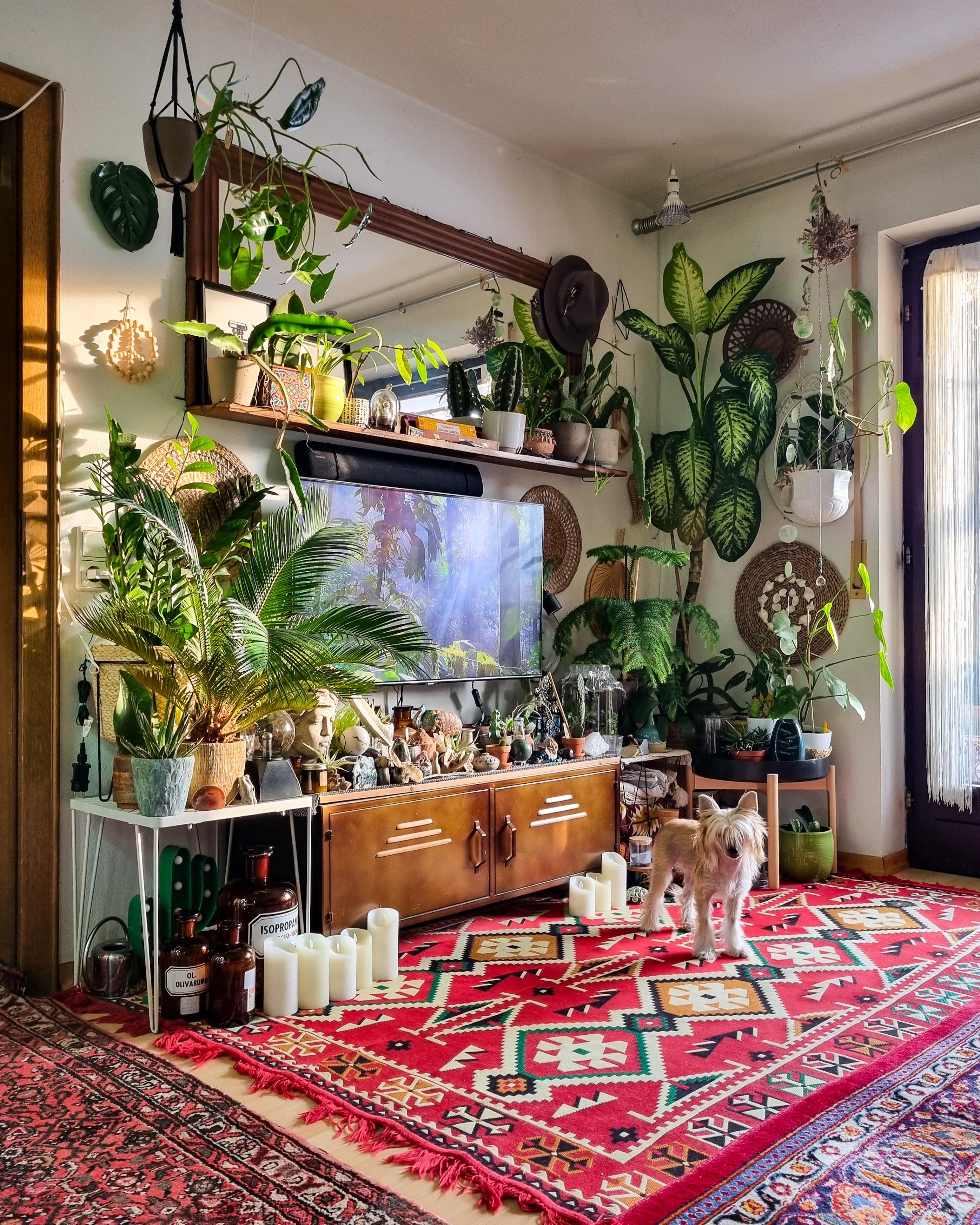 Wochenende 🫶🏽 #Wohnzimmer #Pflanzen #urbanjungle #Teppich #Spiegel #Kerzen #deko #boho #hippie #hygge #sideboard 