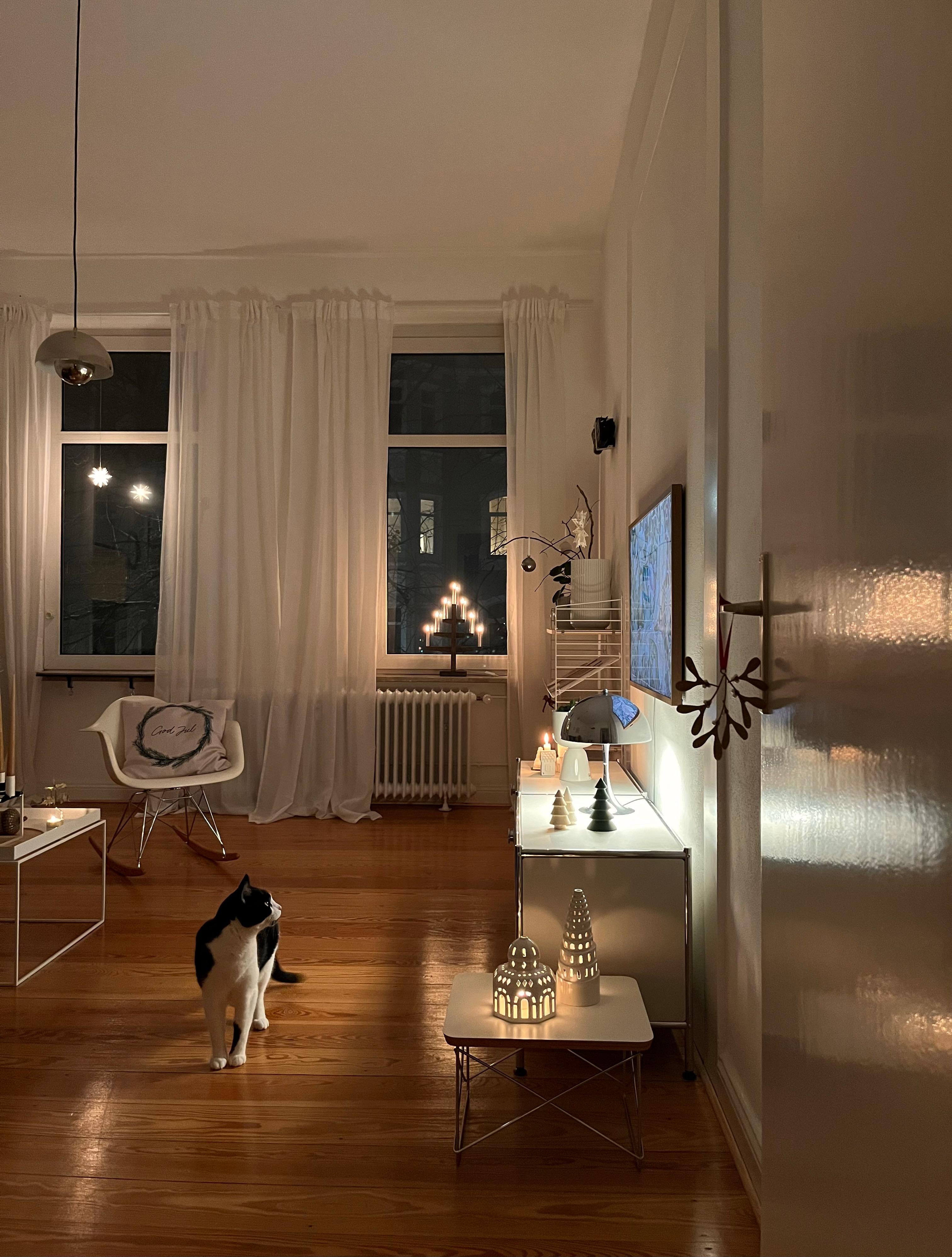 #wohnzimmer #altbauliebe #weihnachtsdeko #katzenmama #skandinavischesdesign
