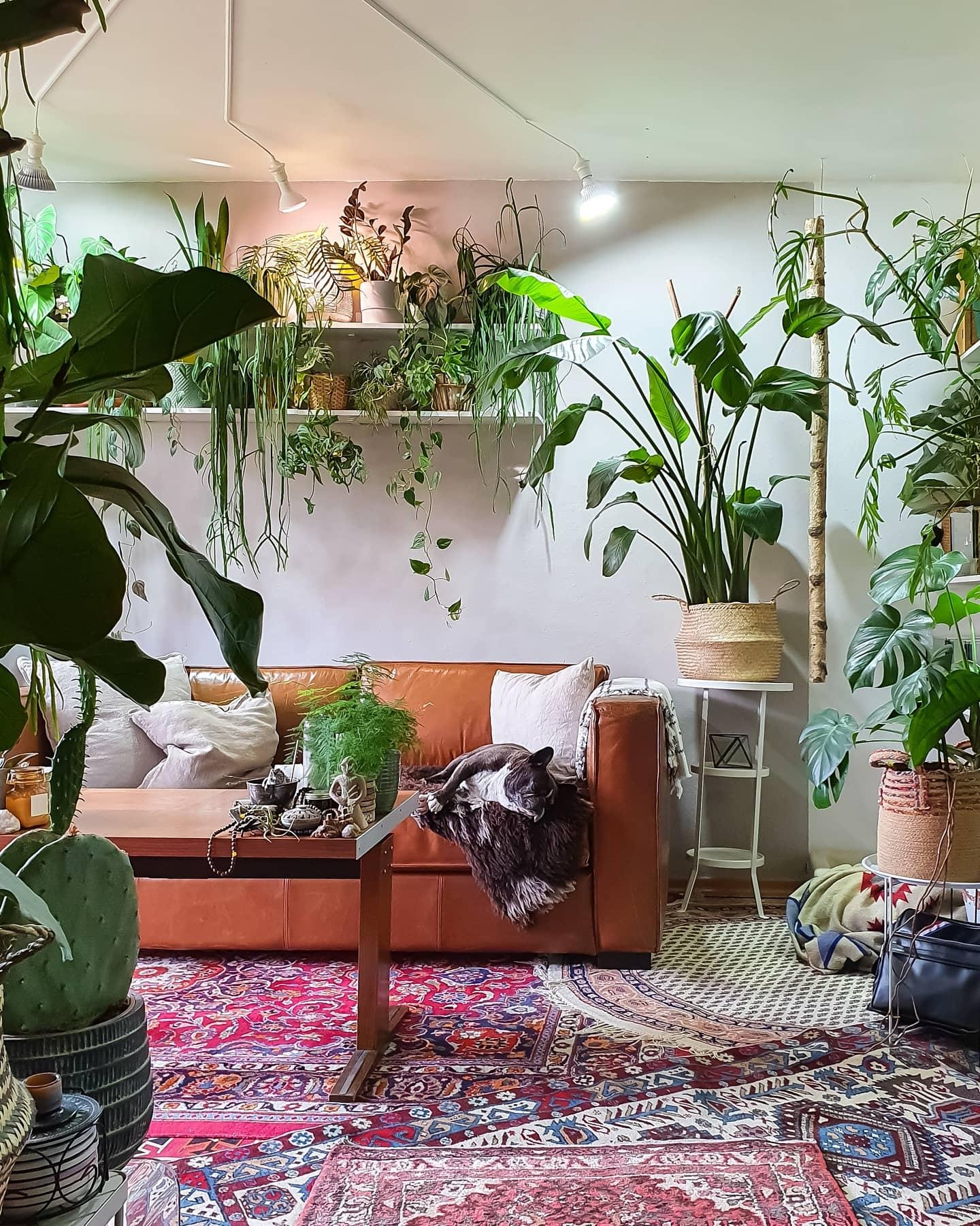 #Wohnzimmer #Pflanzen #Regal #Teppich 