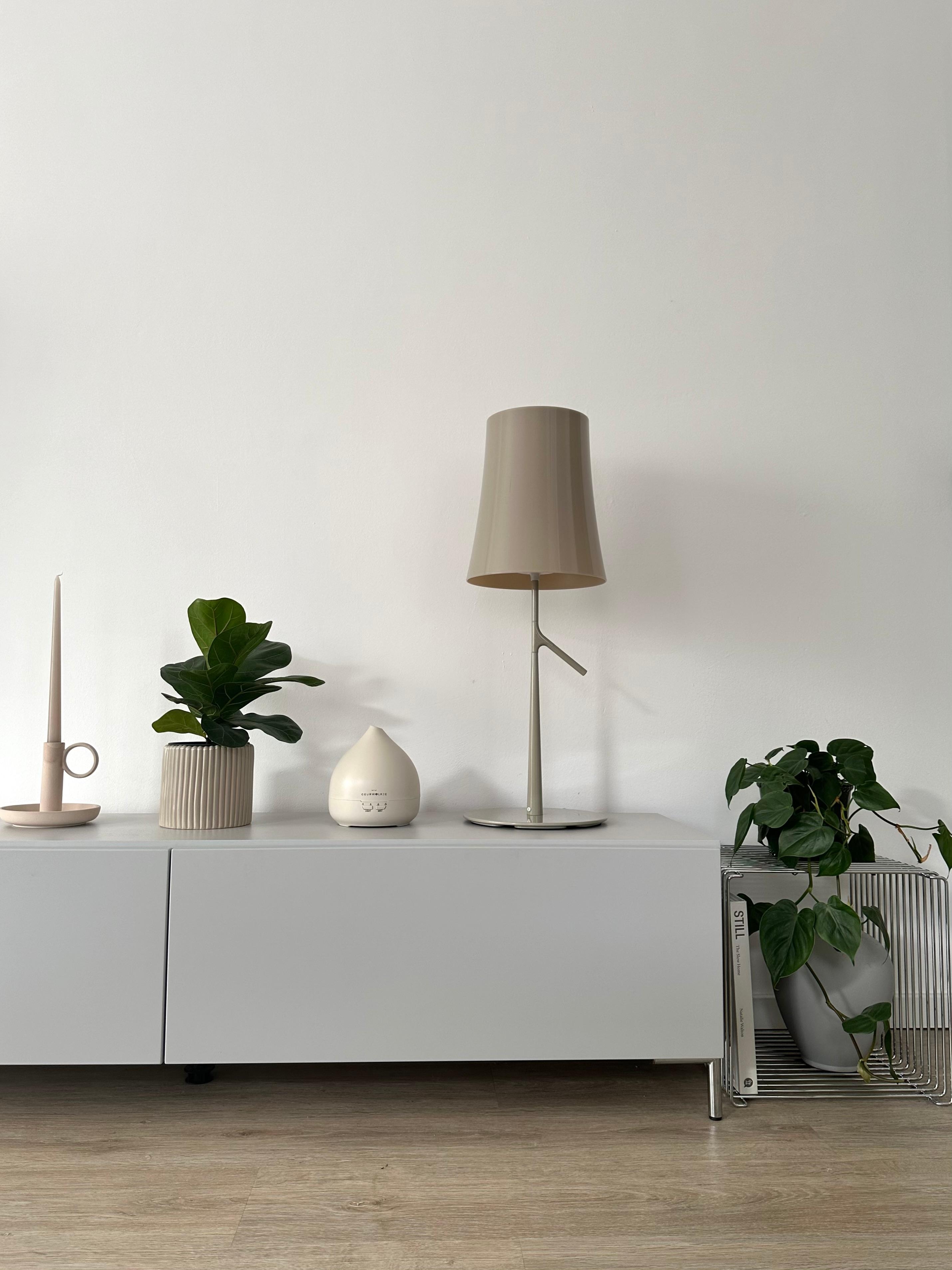#wohnzimmer #sideboard #lowboard #pflanzenliebe #dekoideen #stehlampe #diffuser #greymeetsgreen