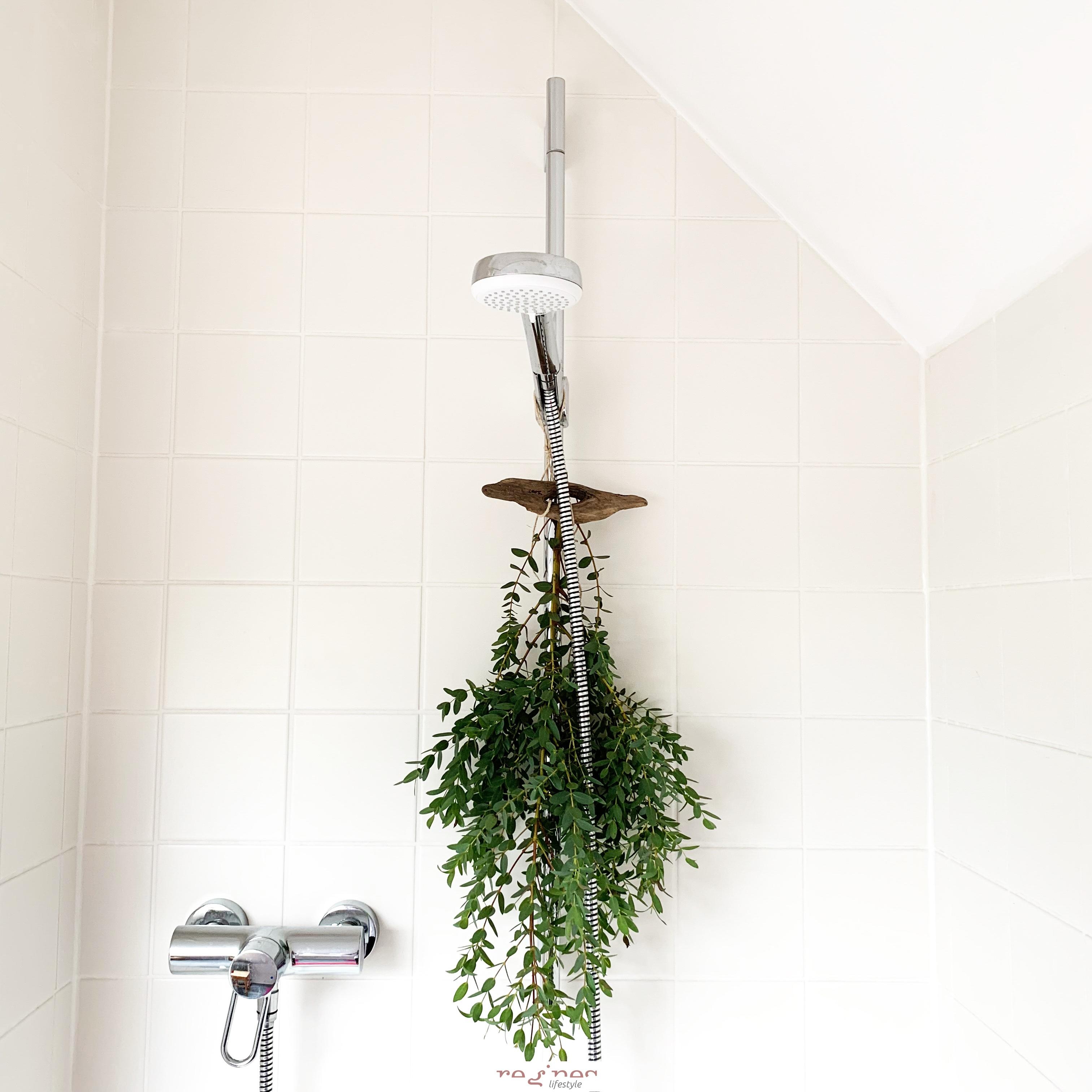 🌿 🇪 🇺 🇰 🇦 🇱 🇾 🇵 🇹 🇺 🇸 🌿
Tolles Detail beim duschen und wundervoll erfrischend ..
#bathroom #badezimmer