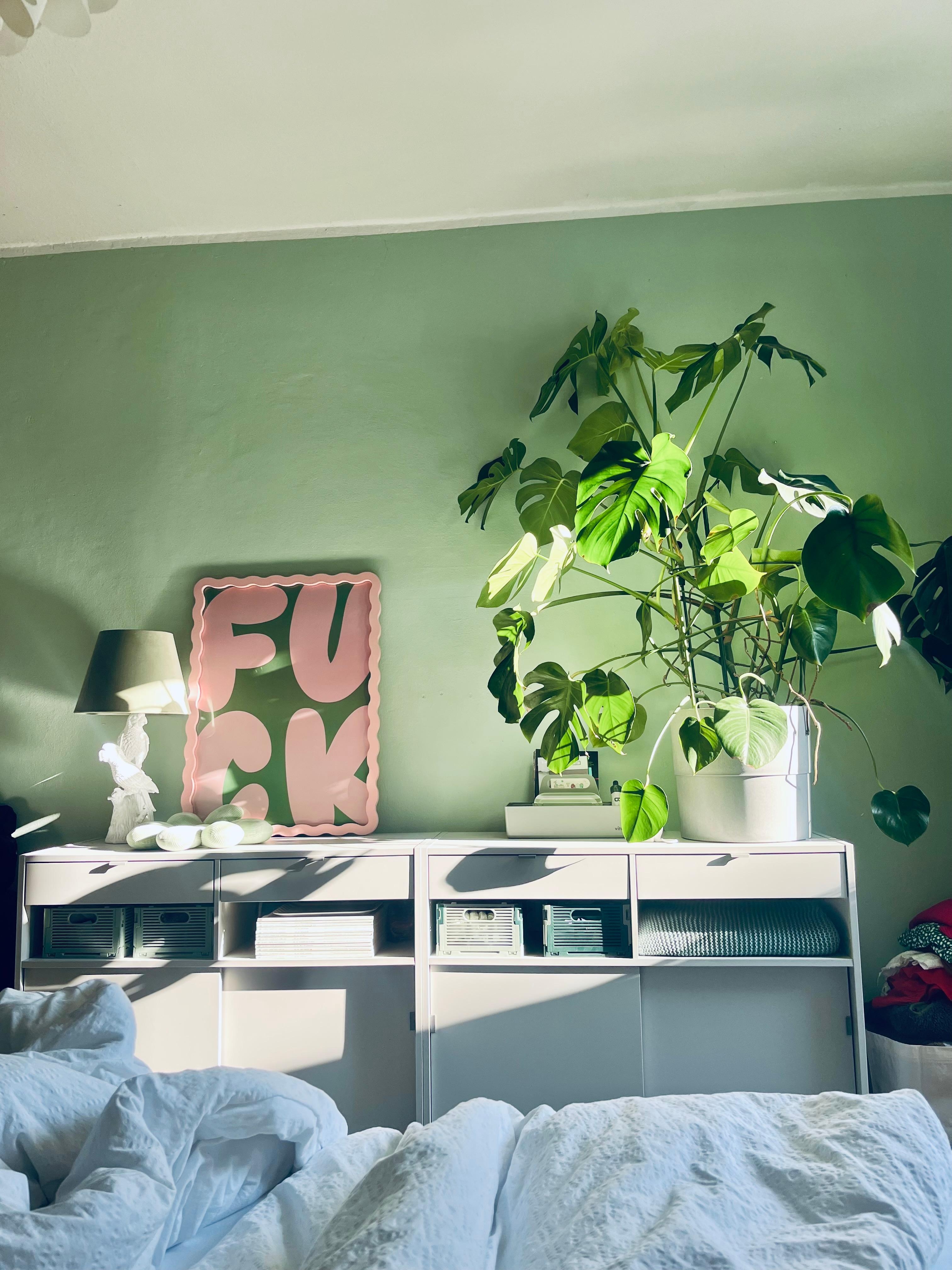 💗 
#bedroom #monstera #f*ck #urbanoutfitters #sunlight 