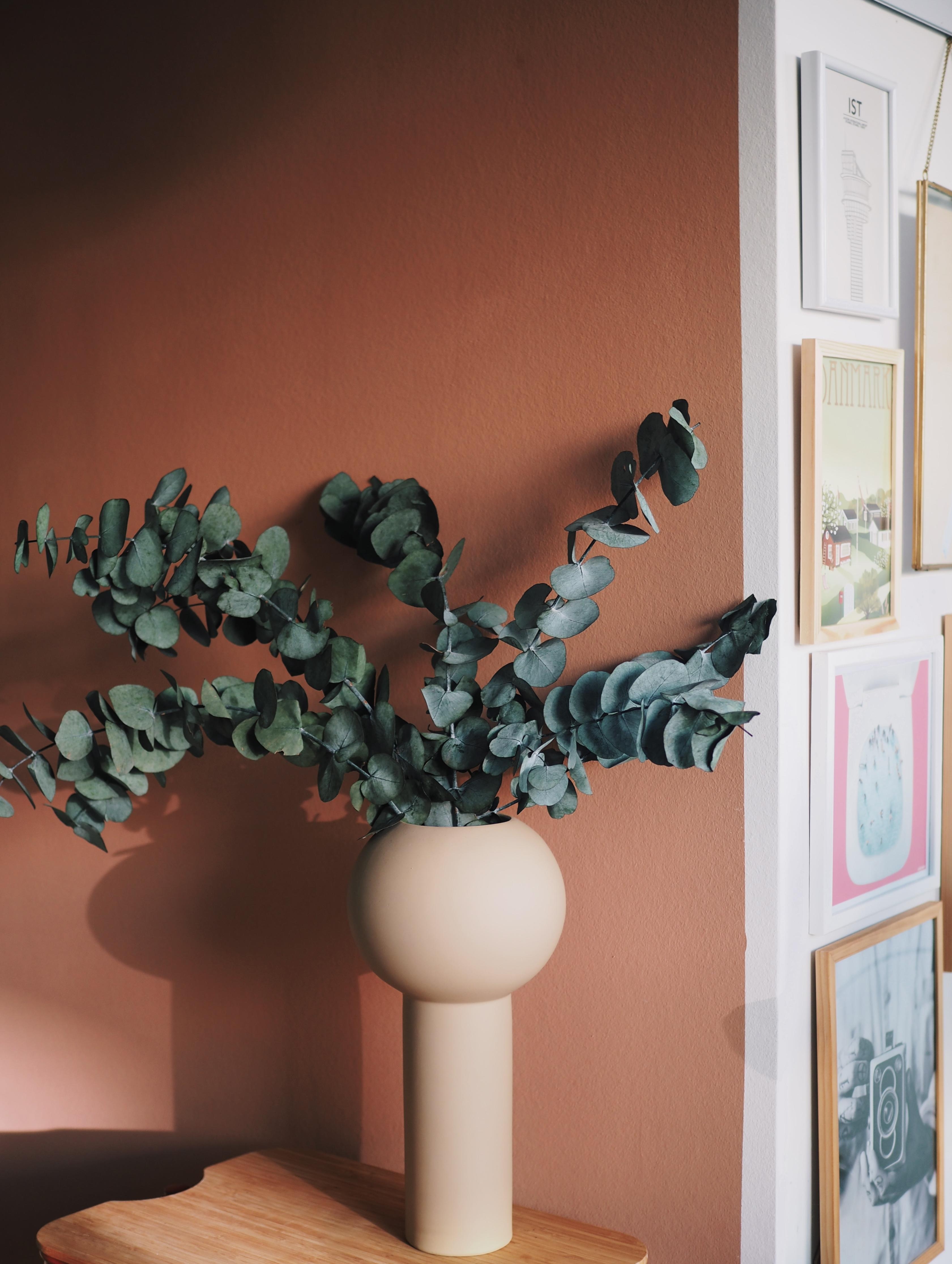 🧡 colour crush 
#wandfarbe #trockenblumen #vasenliebe #wandgestaltung #couchstyle 